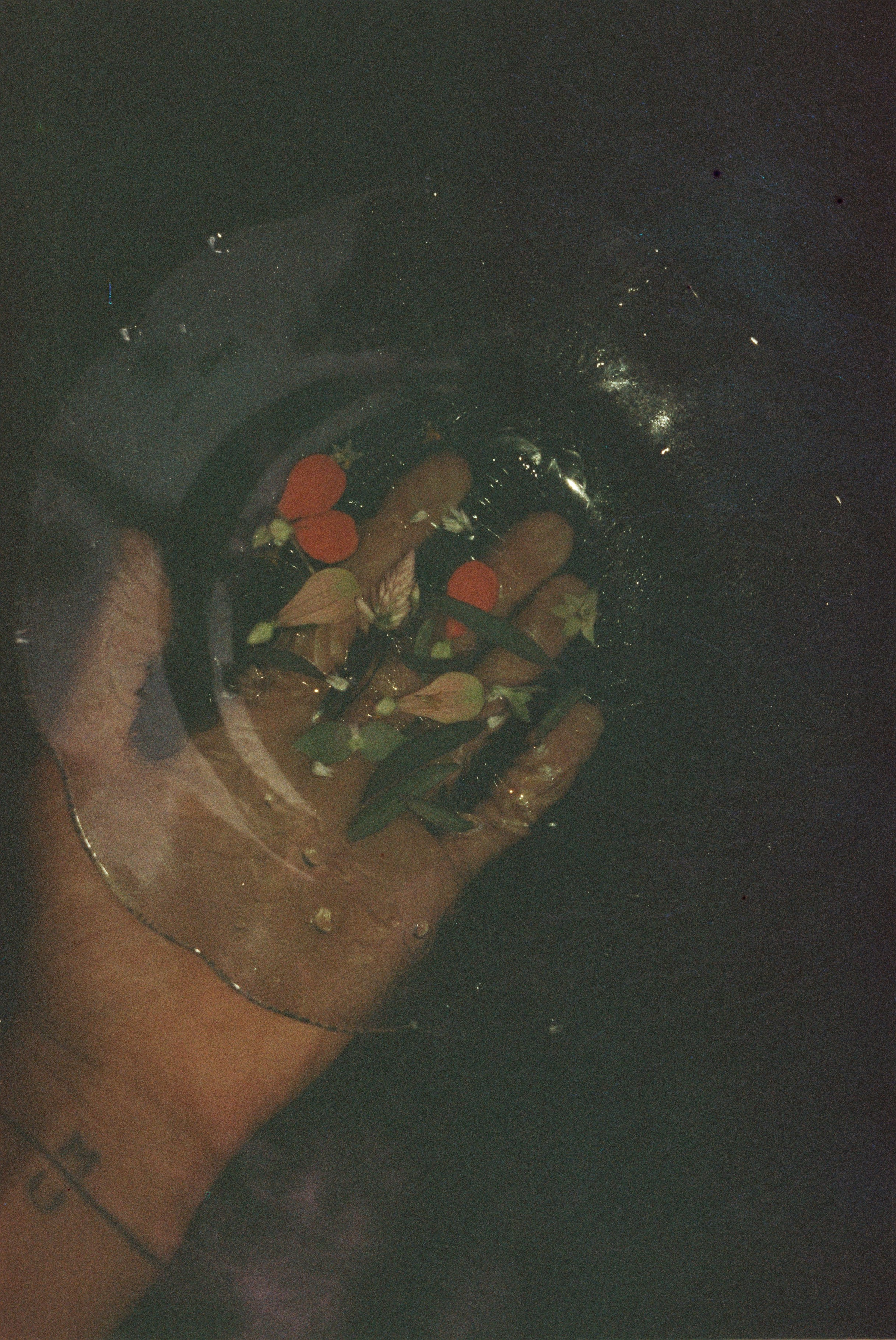 SWASTIASTU. Сocoobird || Атмосфера твоего бренда в снимках и видео