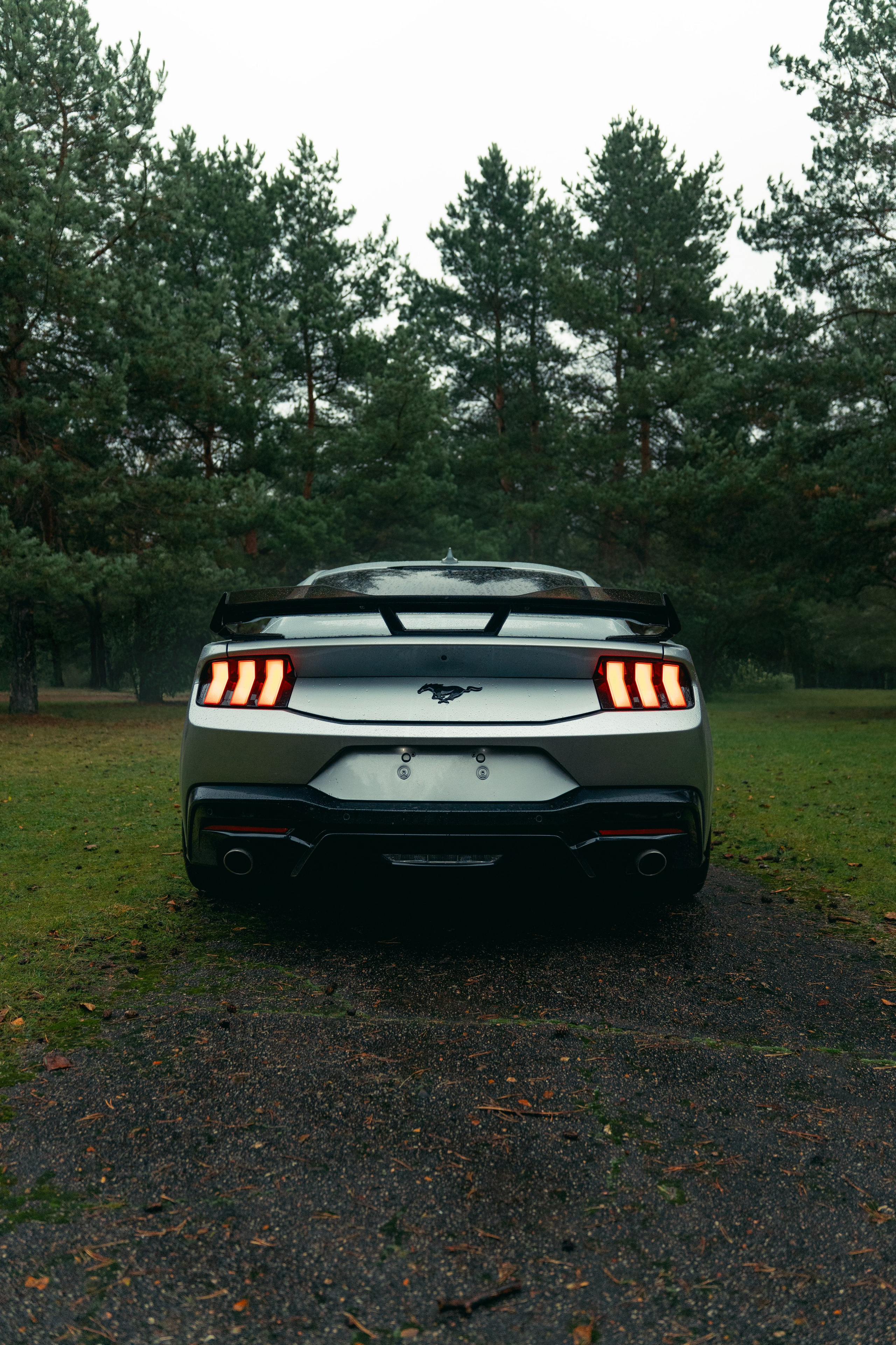 Фотографии Ford Mustang
