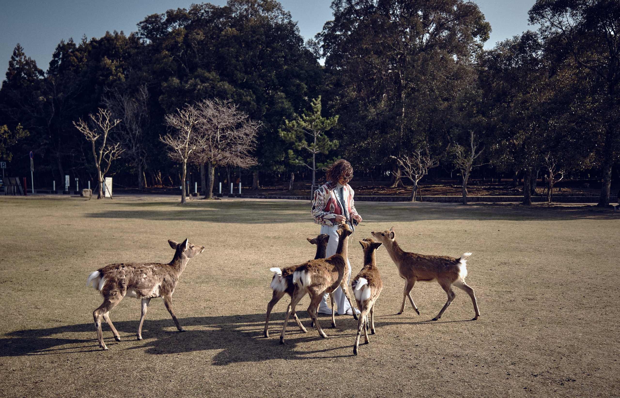 Japan / Osaka≫Kyoto≫Tokyo. Aleksandr Kobtsev