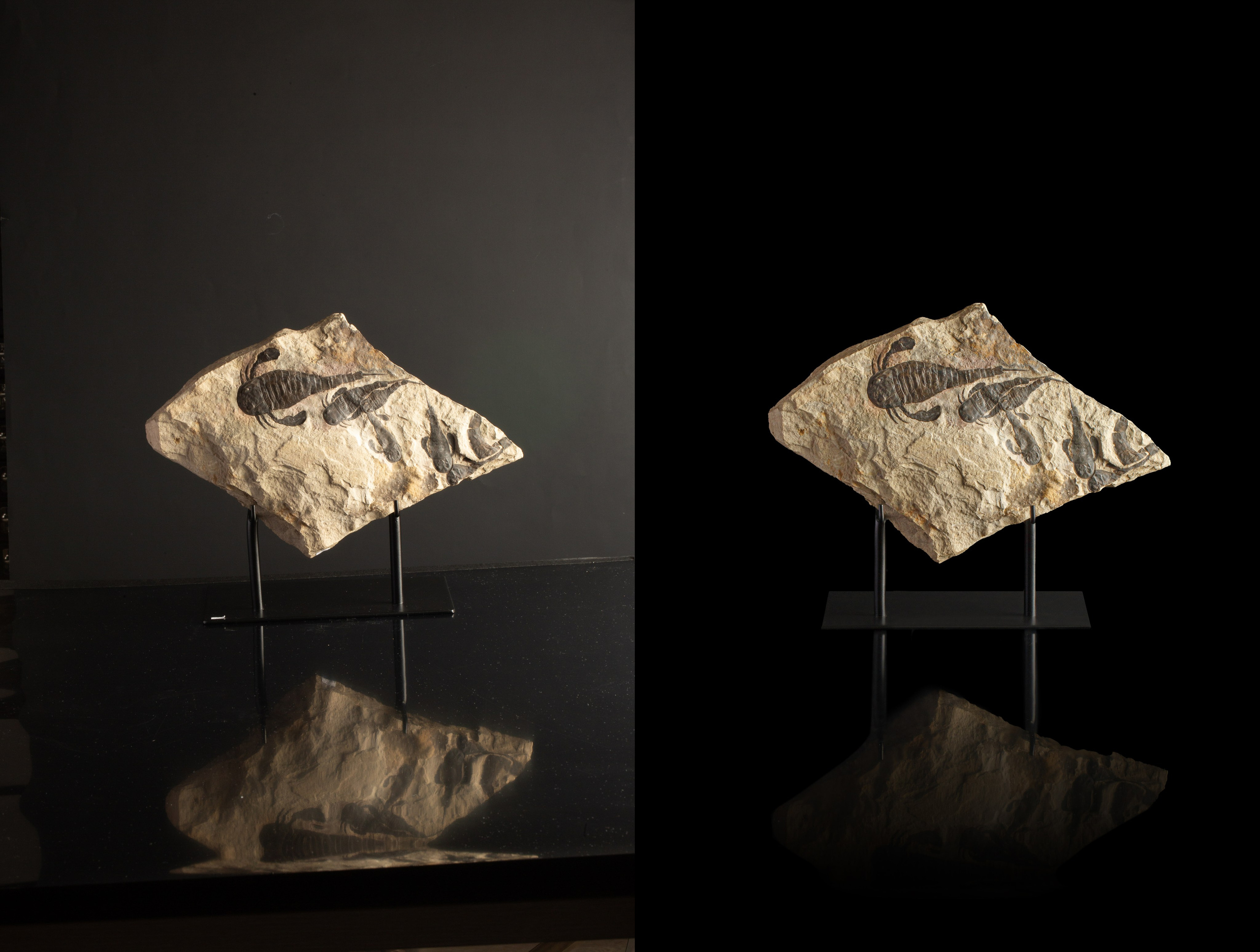 Предметы коллекционирования