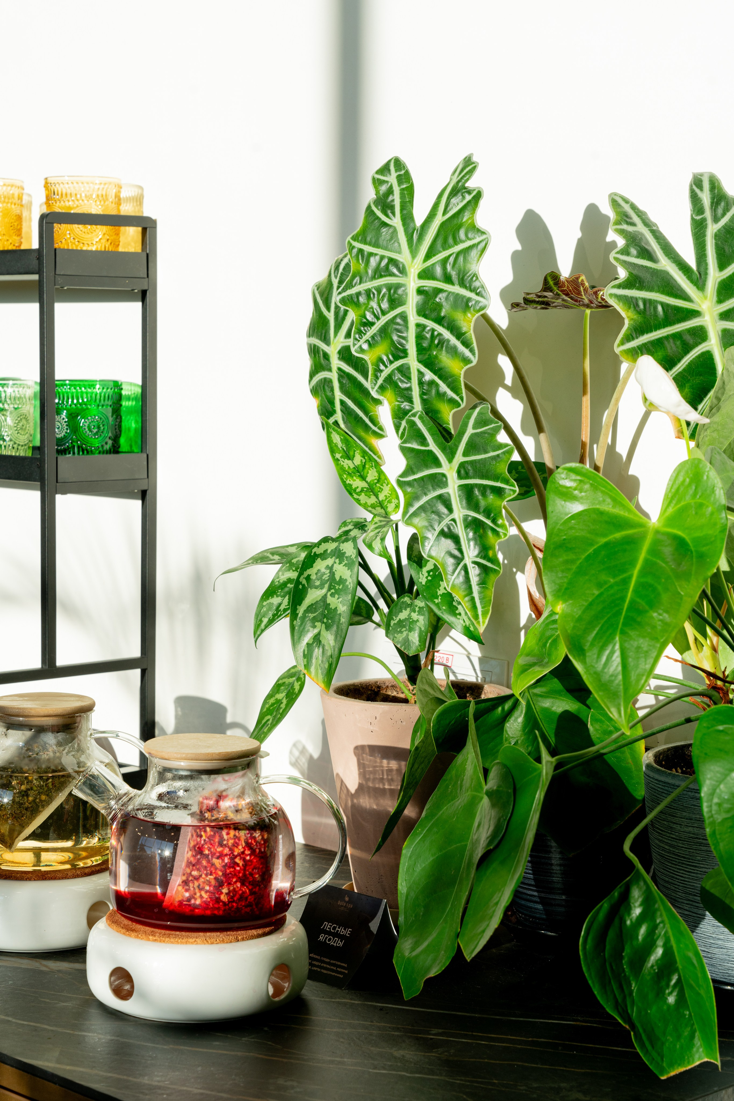 БУТА СПА. Фотограф на любое мероприятие