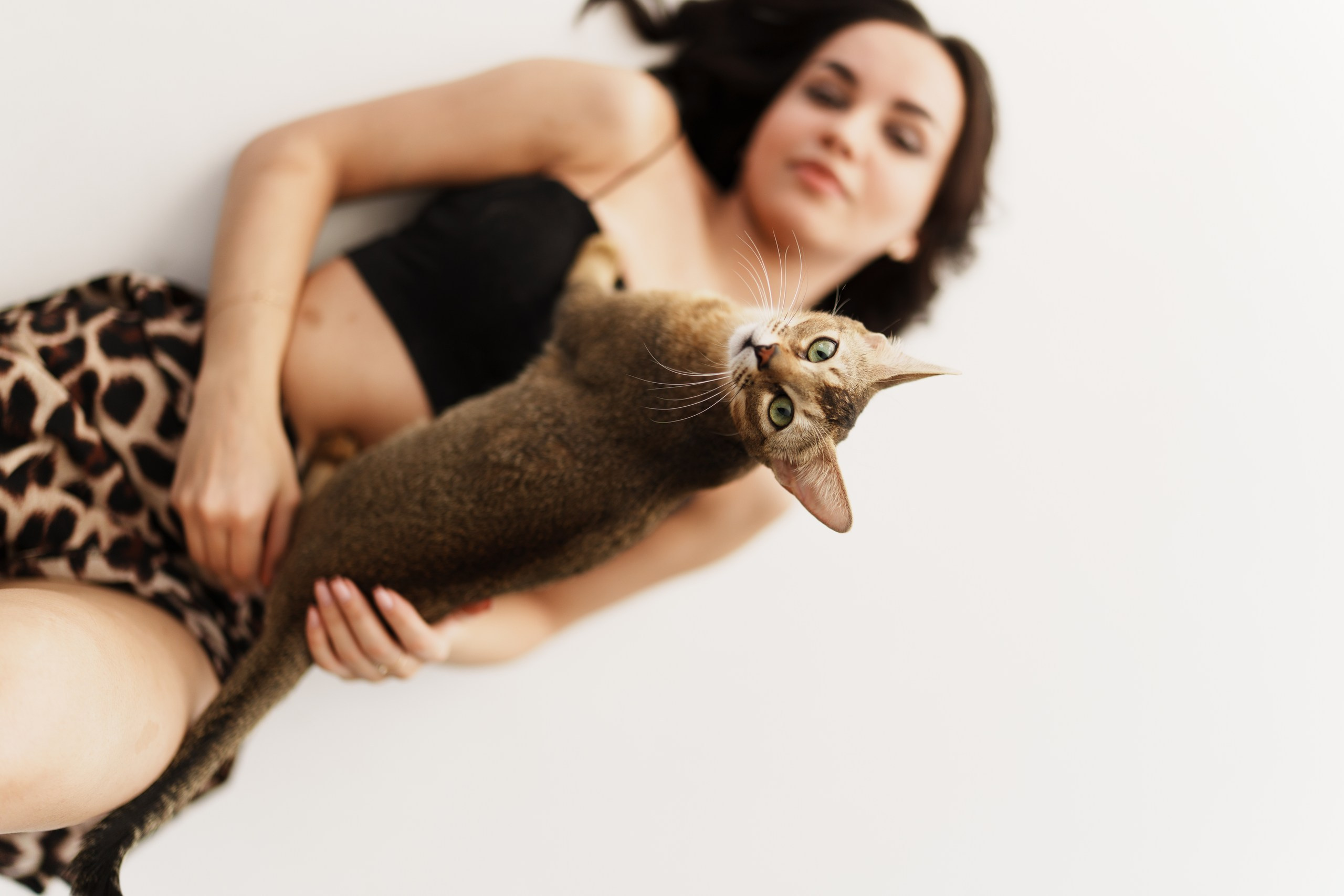 Светлана с кошечкой. Свадебный и портретный фотограф Анастасия Малак | Камчатка