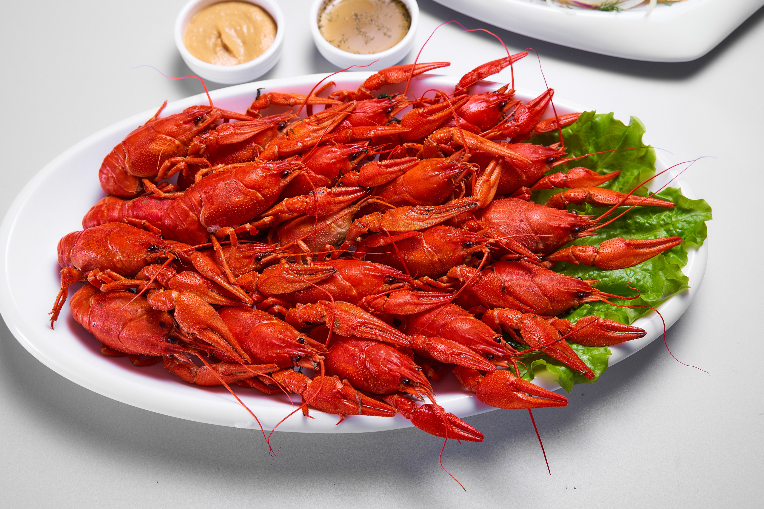 WOLT — KLEVER. Фотограф в Уральске Александр Хохлачёв | HOHLACHEV.COM