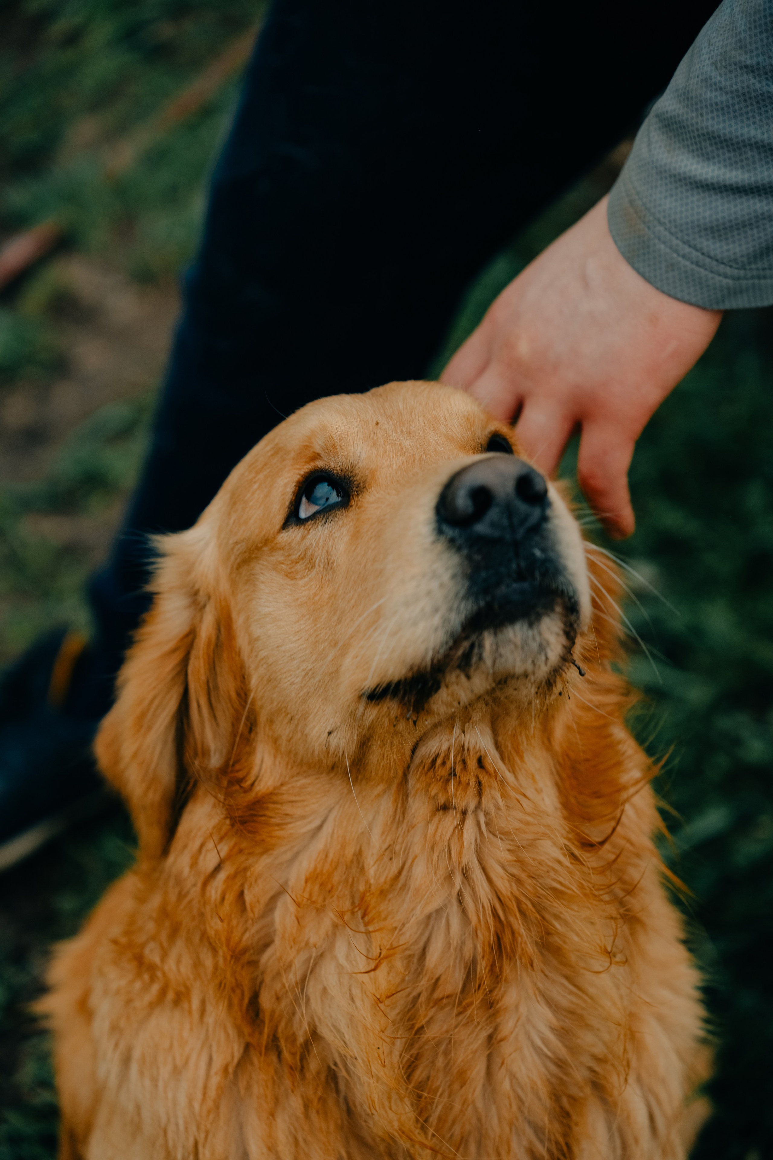 Зоопарк в моём багаже. Кошенкова Мария: портретный и репортажный фотограф. Санкт-Петербург