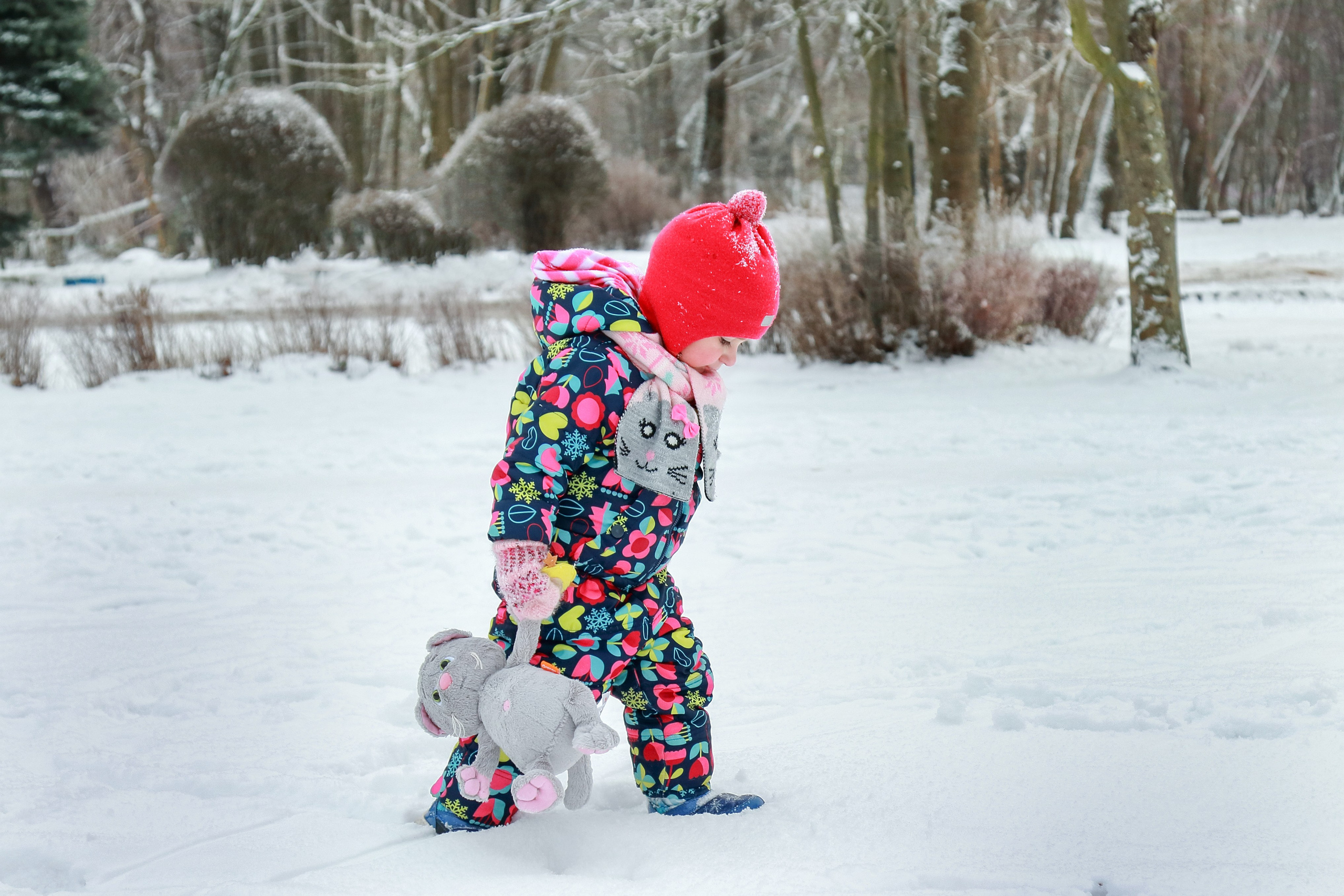 прогулка в зимнем парке