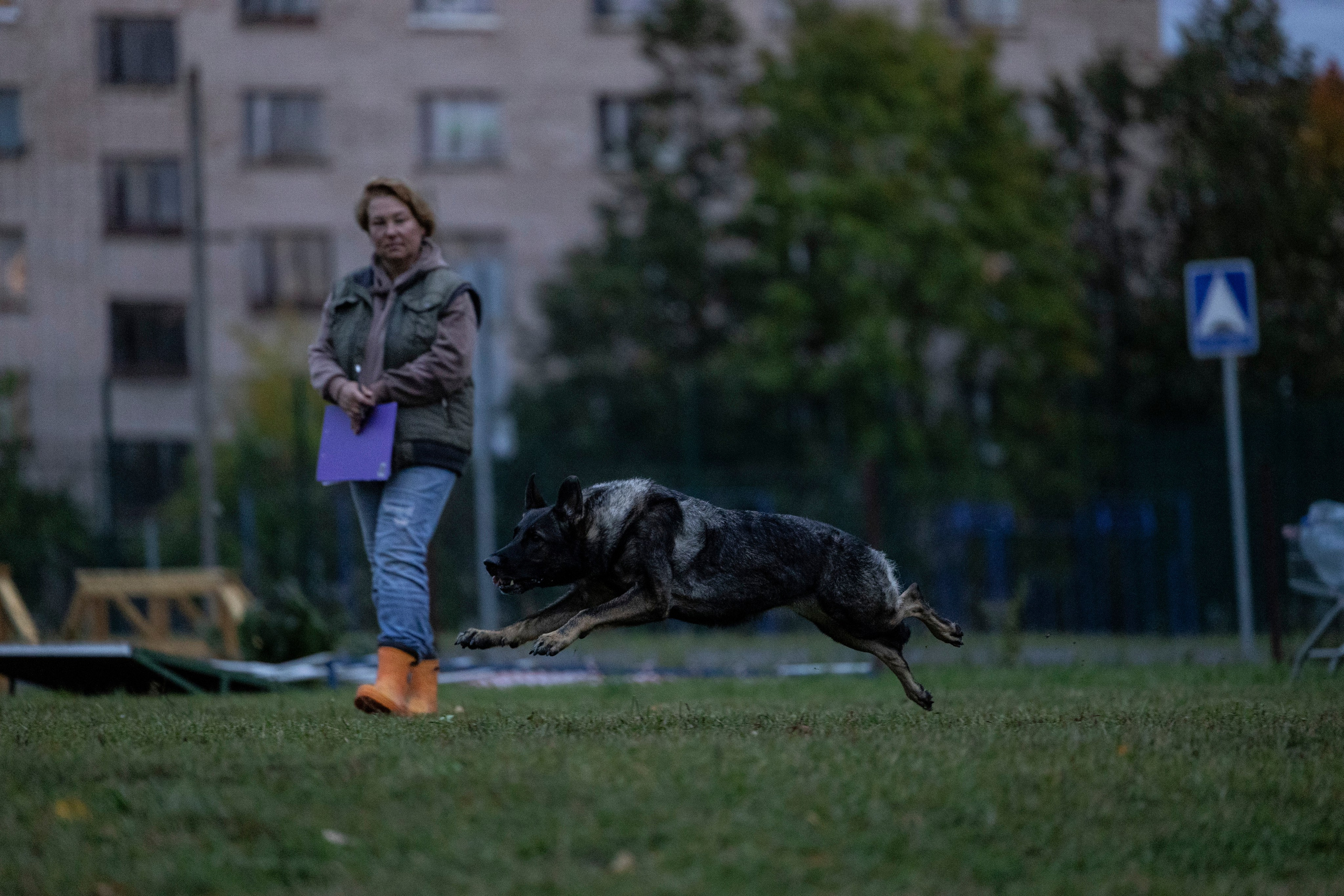Испытания по Мондьорингу г. Пушкин. Фотограф-анималист Анна Маринич
