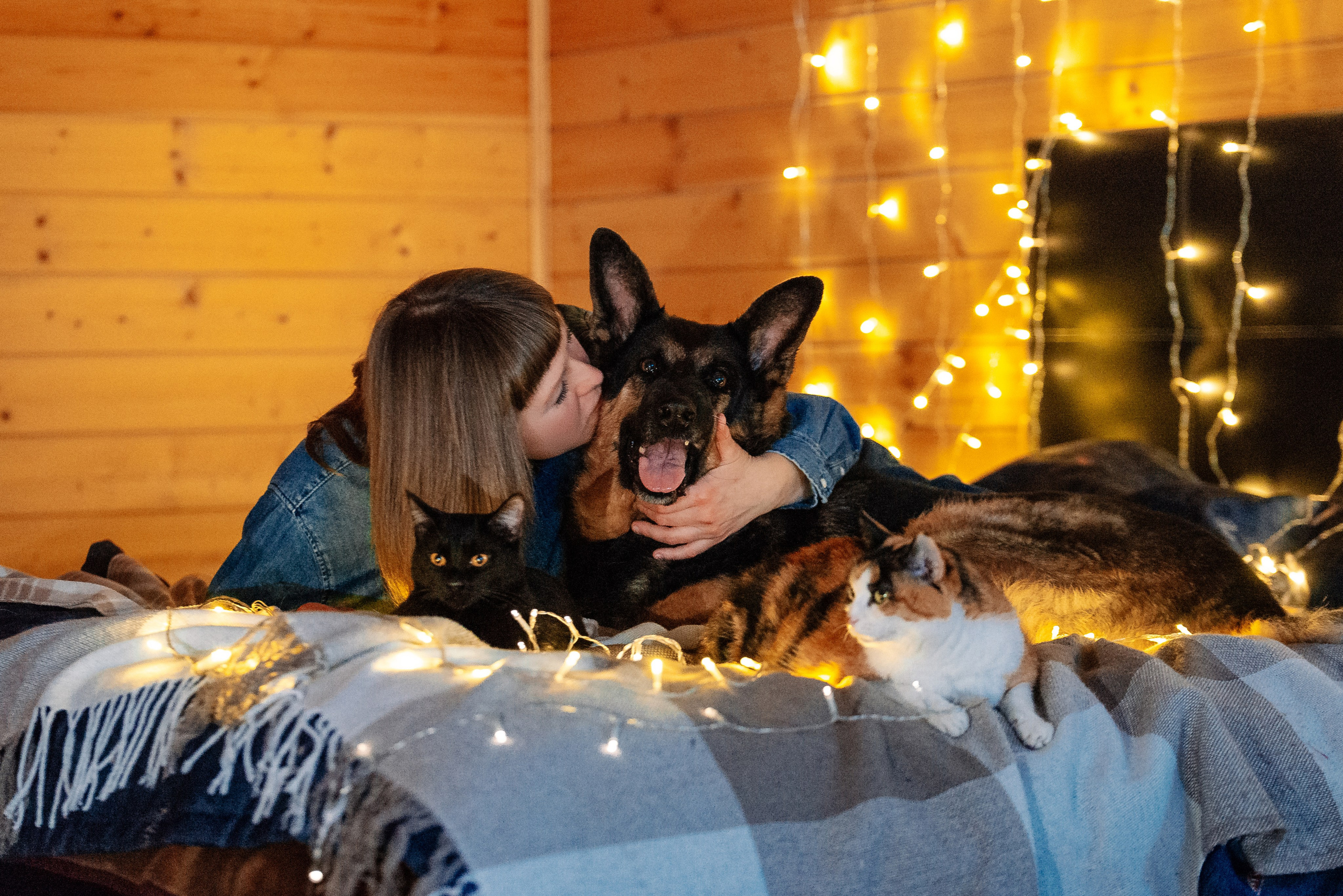 Светлана, Альфа и кошки ✨. Фотограф-анималист Анастасия Парфенова|Екатеринбург