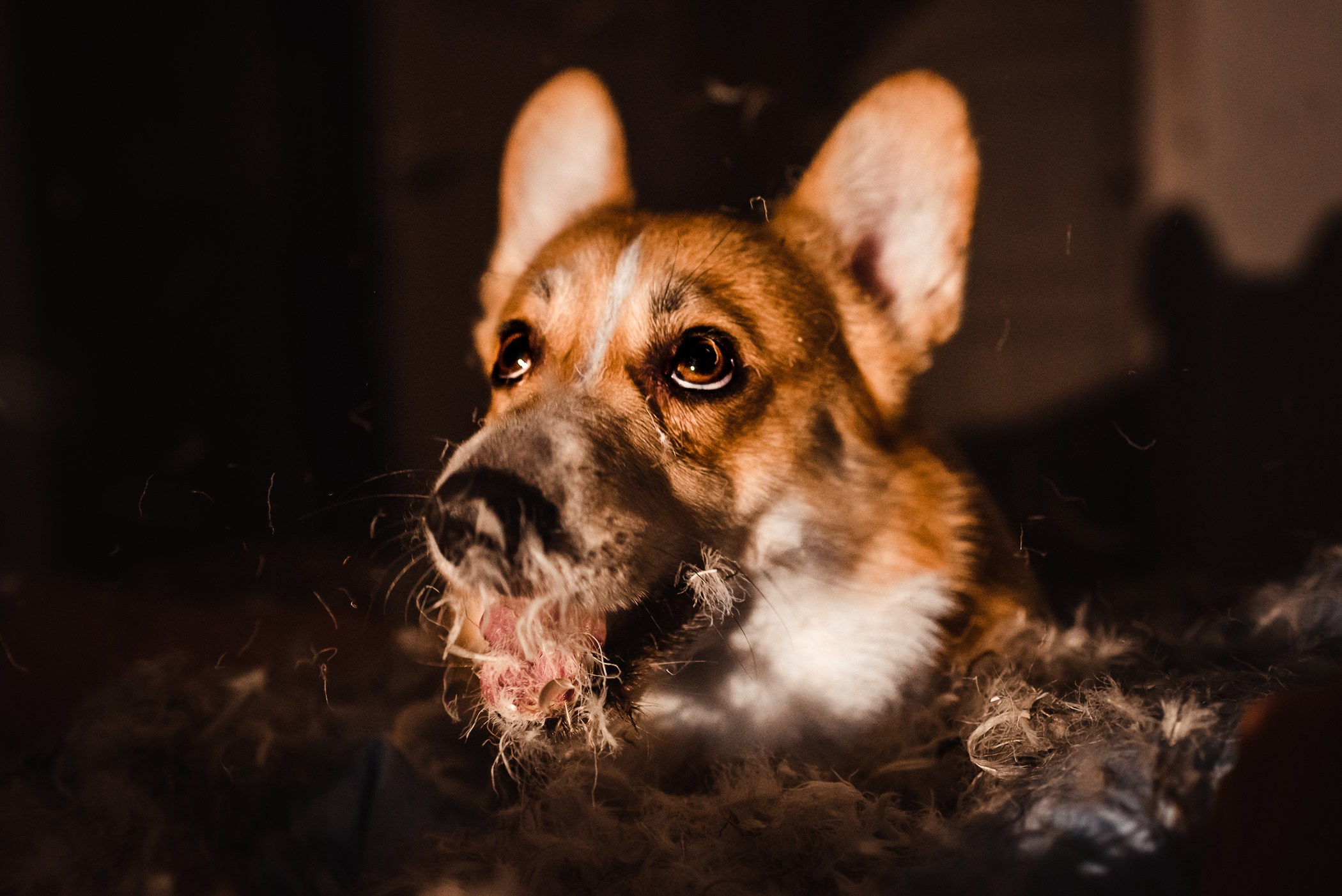 Пижамная вечеринка Тани и Димы. Семейный Фотограф в Москве Ирина Хохлова