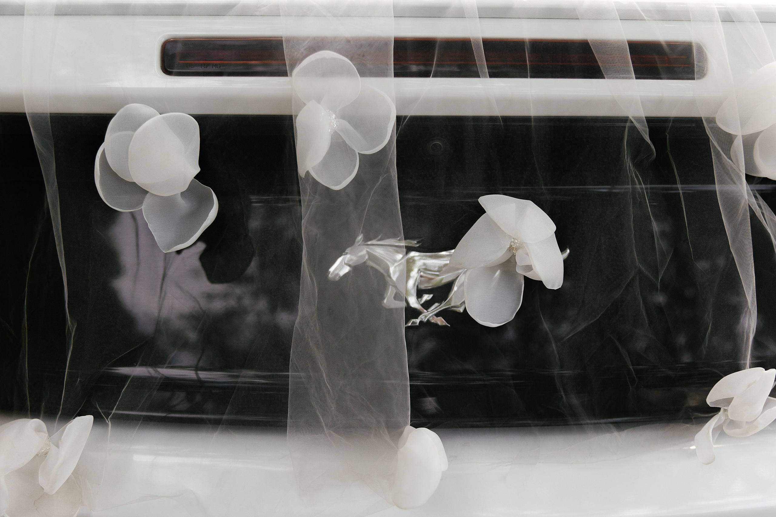 Павел и Елена. Свадебный и семейный фотограф Харольцева Наталья