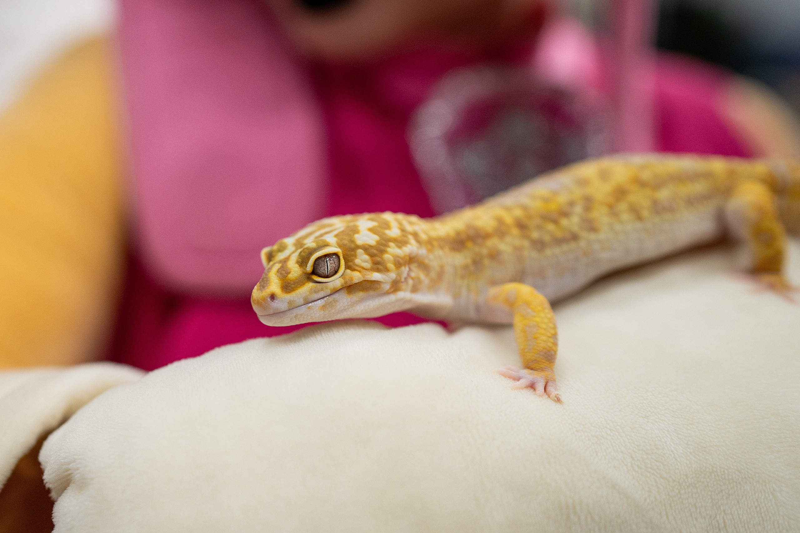 День рождения Матвея. Фотограф на Крещение и Венчание в Красноярске Рамазанова Юлия