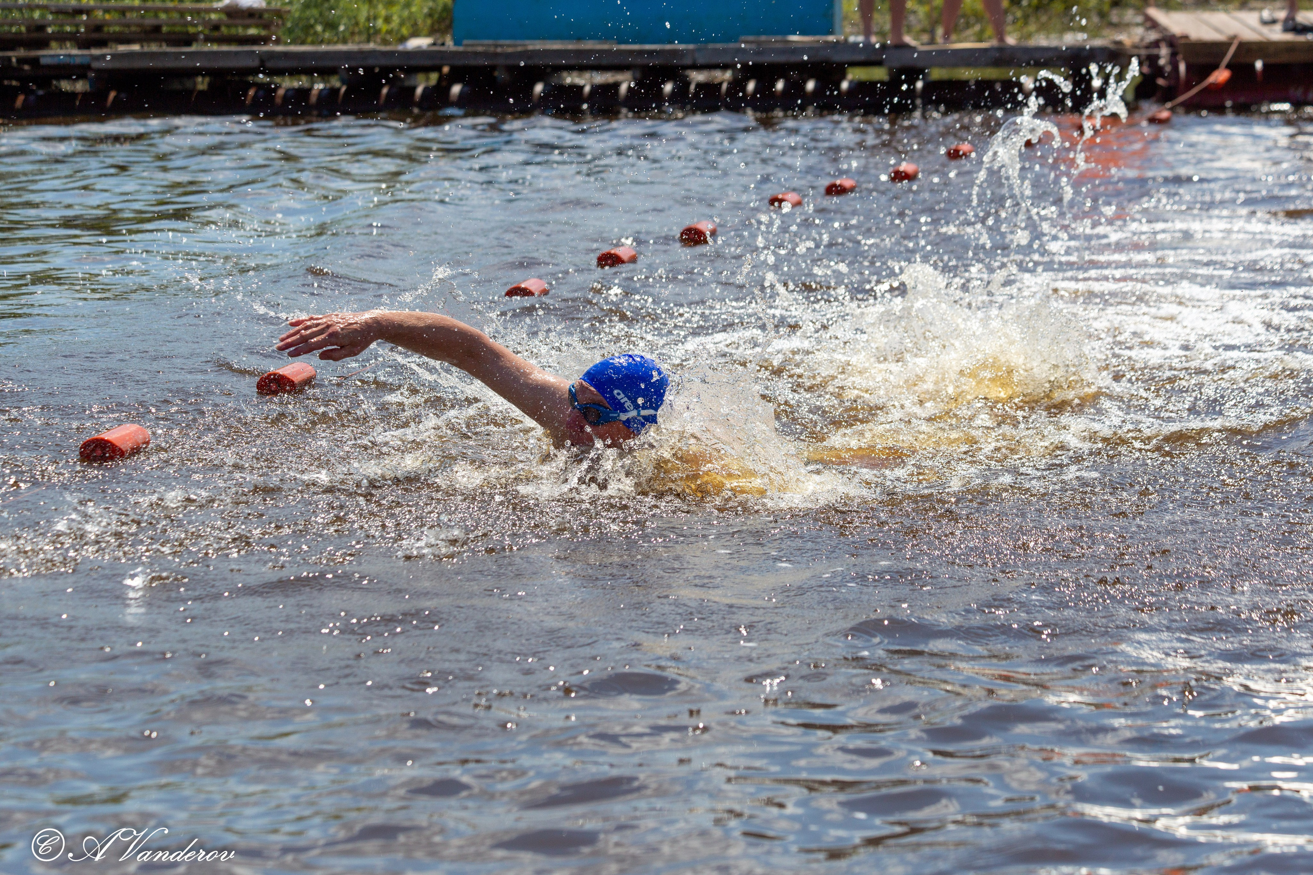 Заплыв 02.06.2024. Фотограф Омск | Александр Вандеров
