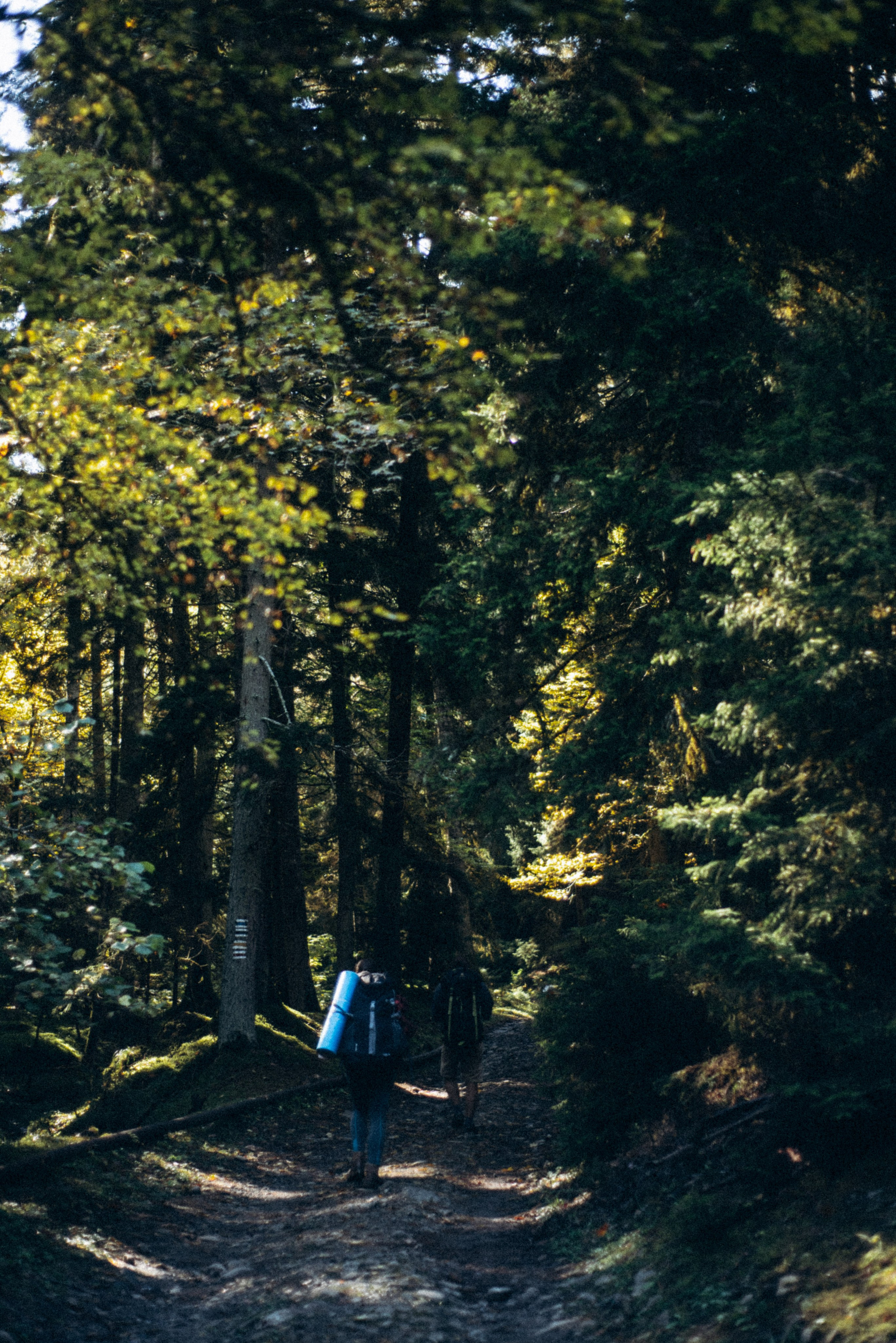 Боржоми, Грузия 🇬🇪. Anita_photo