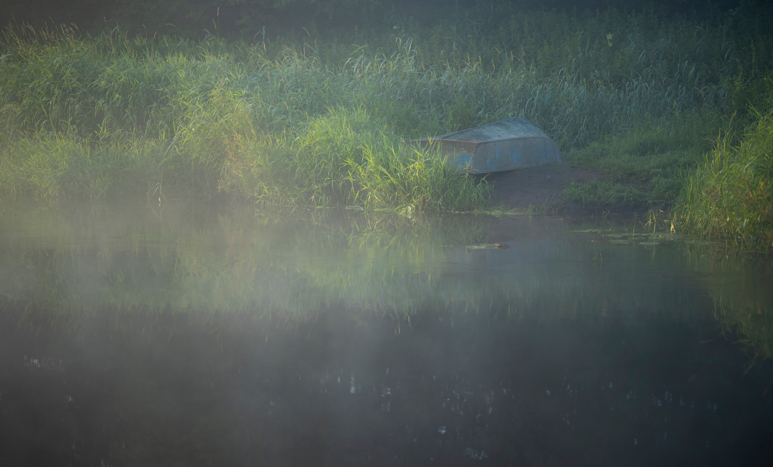 НАД ВОДОЙ. Фотограф Татьяна Андриянова