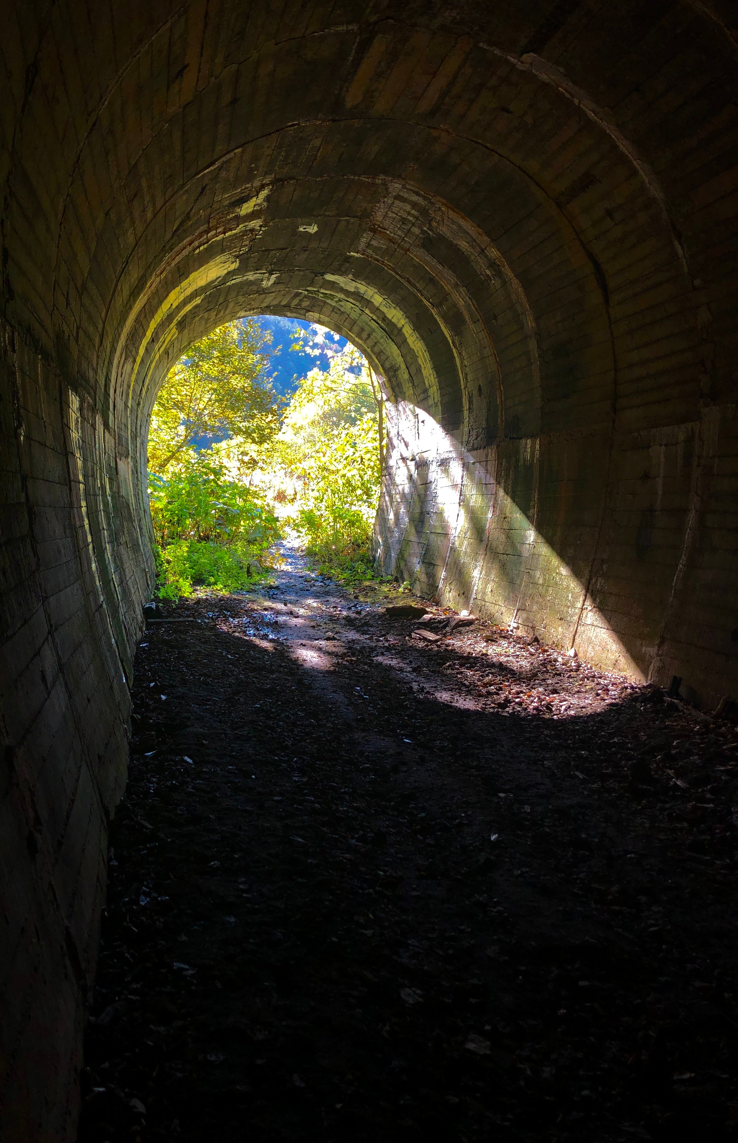 НАД ВОДОЙ. Фотограф Татьяна Андриянова