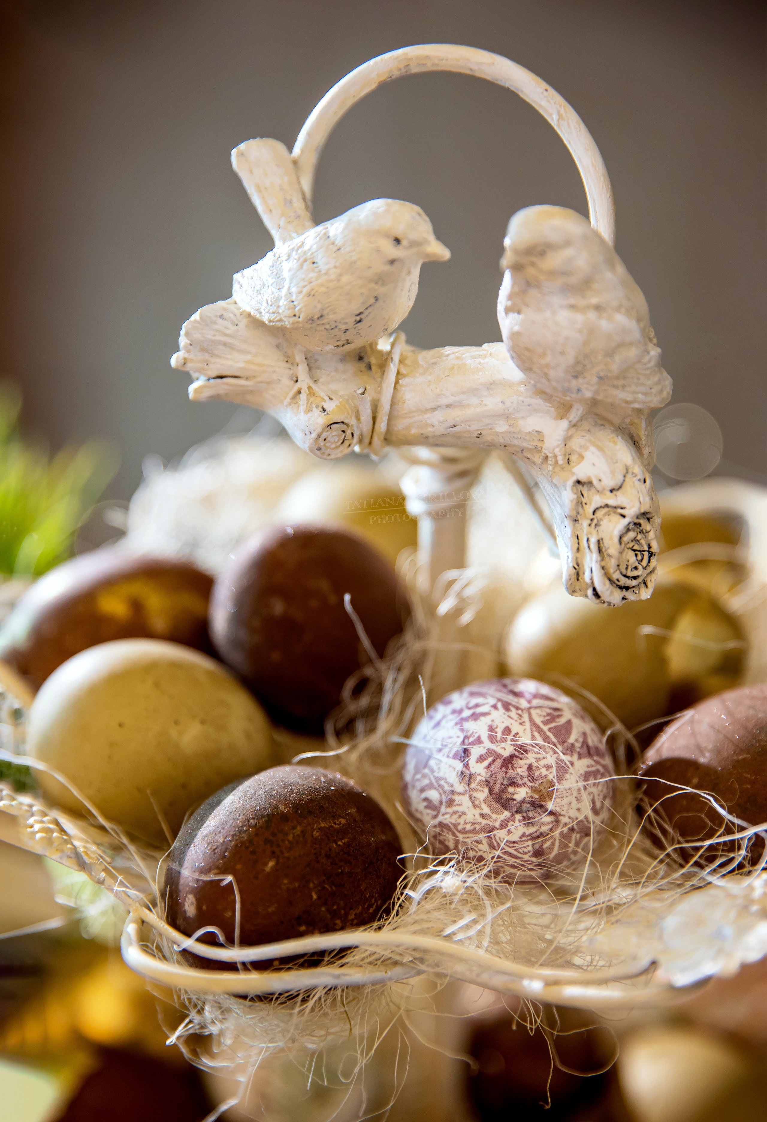 Предметная съемка, цветы, открытки. Фотограф — Татьяна Кириллова, г. Санкт-Петербург