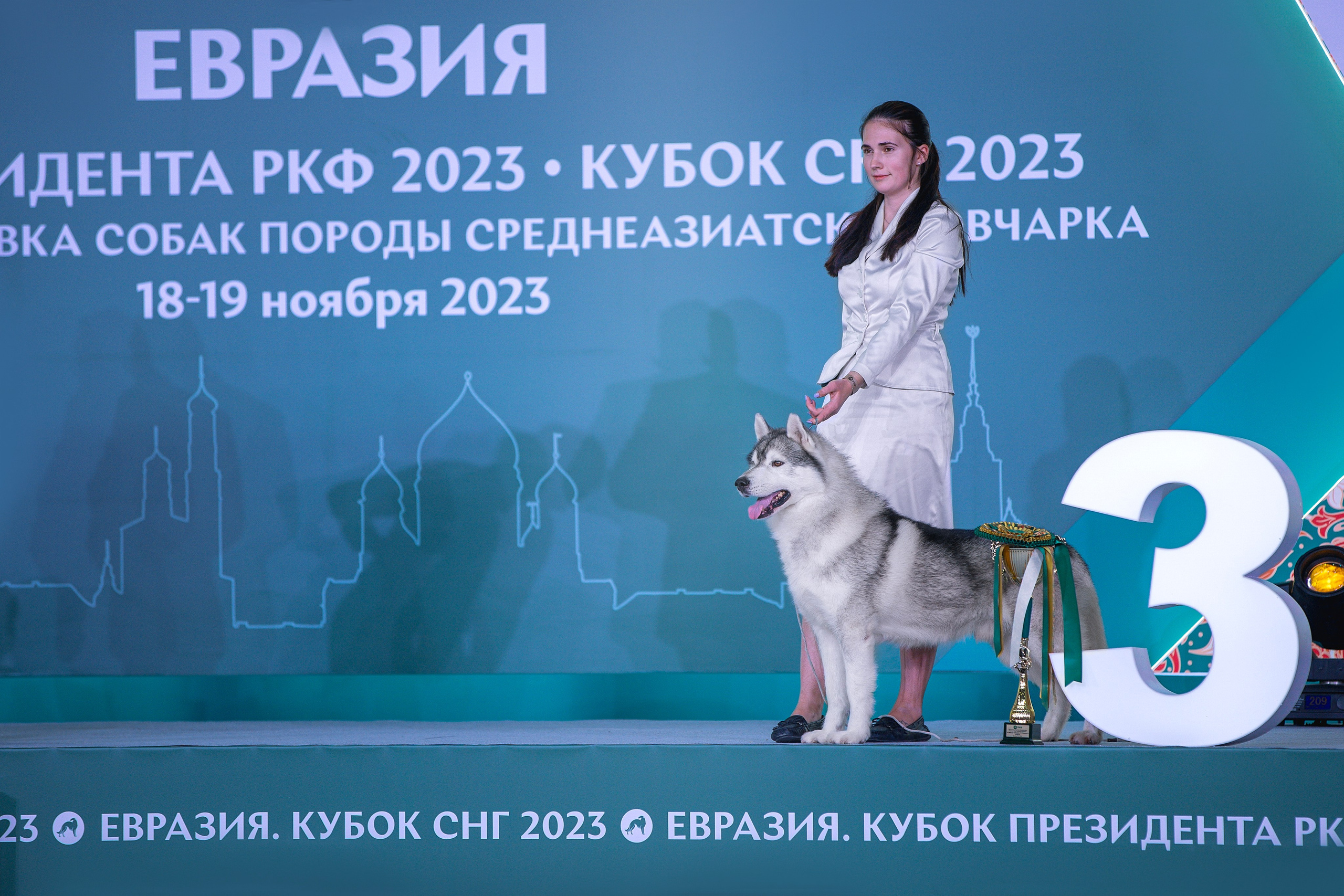 Евразия 2023. Фотограф анималист в Москве Майорова Евгения