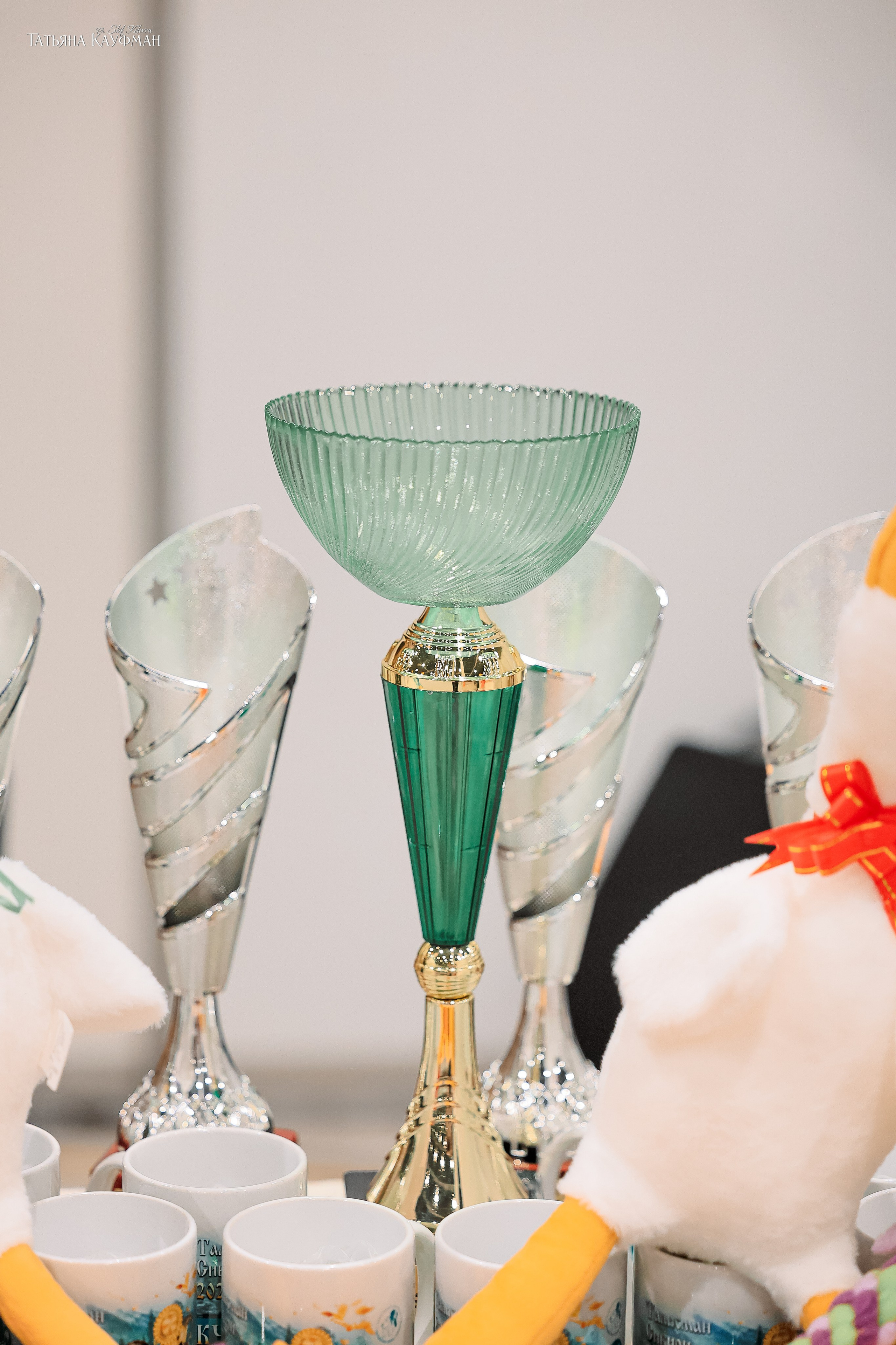 28-29.03.2026 Рейтинговая выставка в Новосибирске. Фотограф Анималист из Новосибирска Татьяна Кауфман