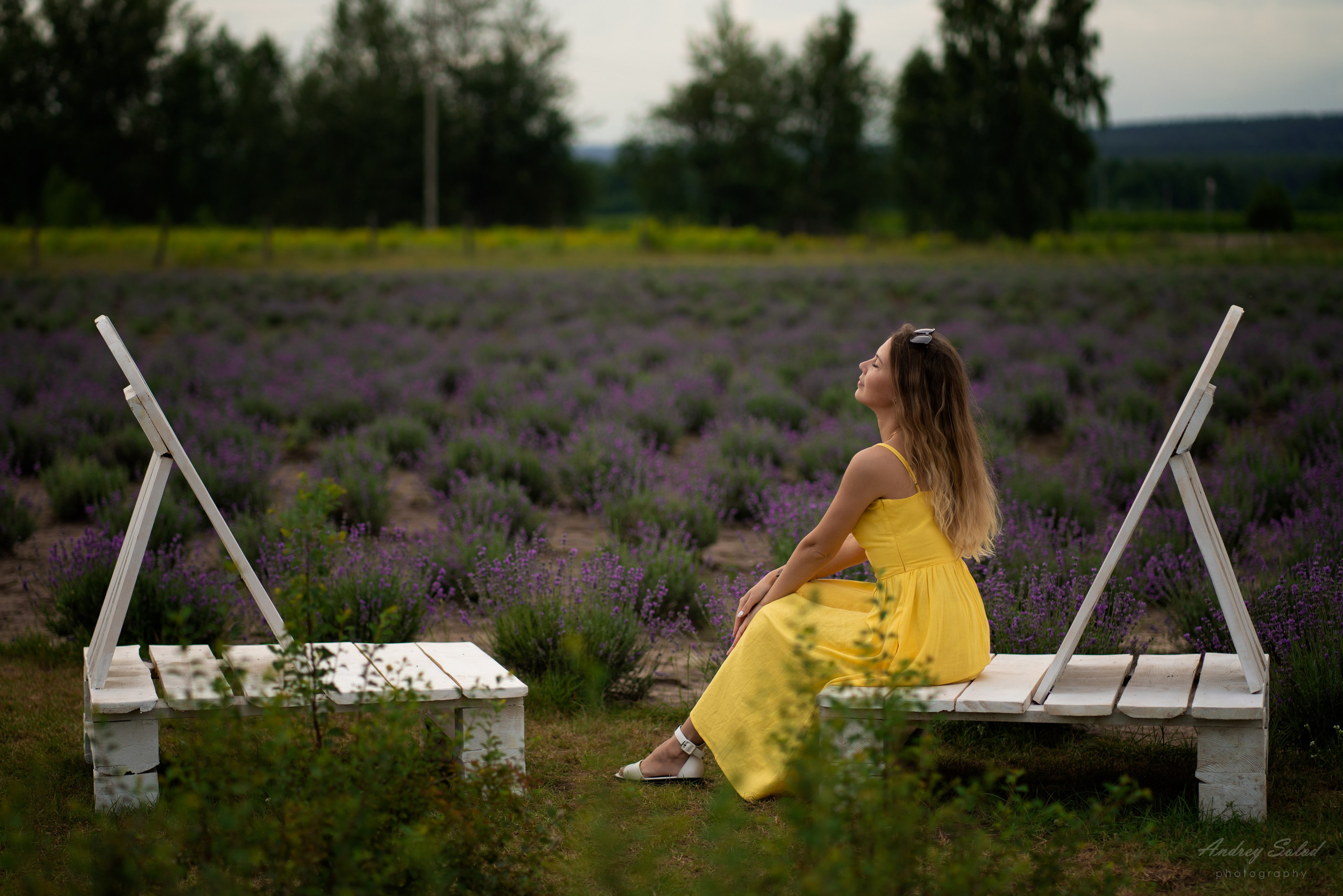 Фотосессия в лаванде Нижегородская область