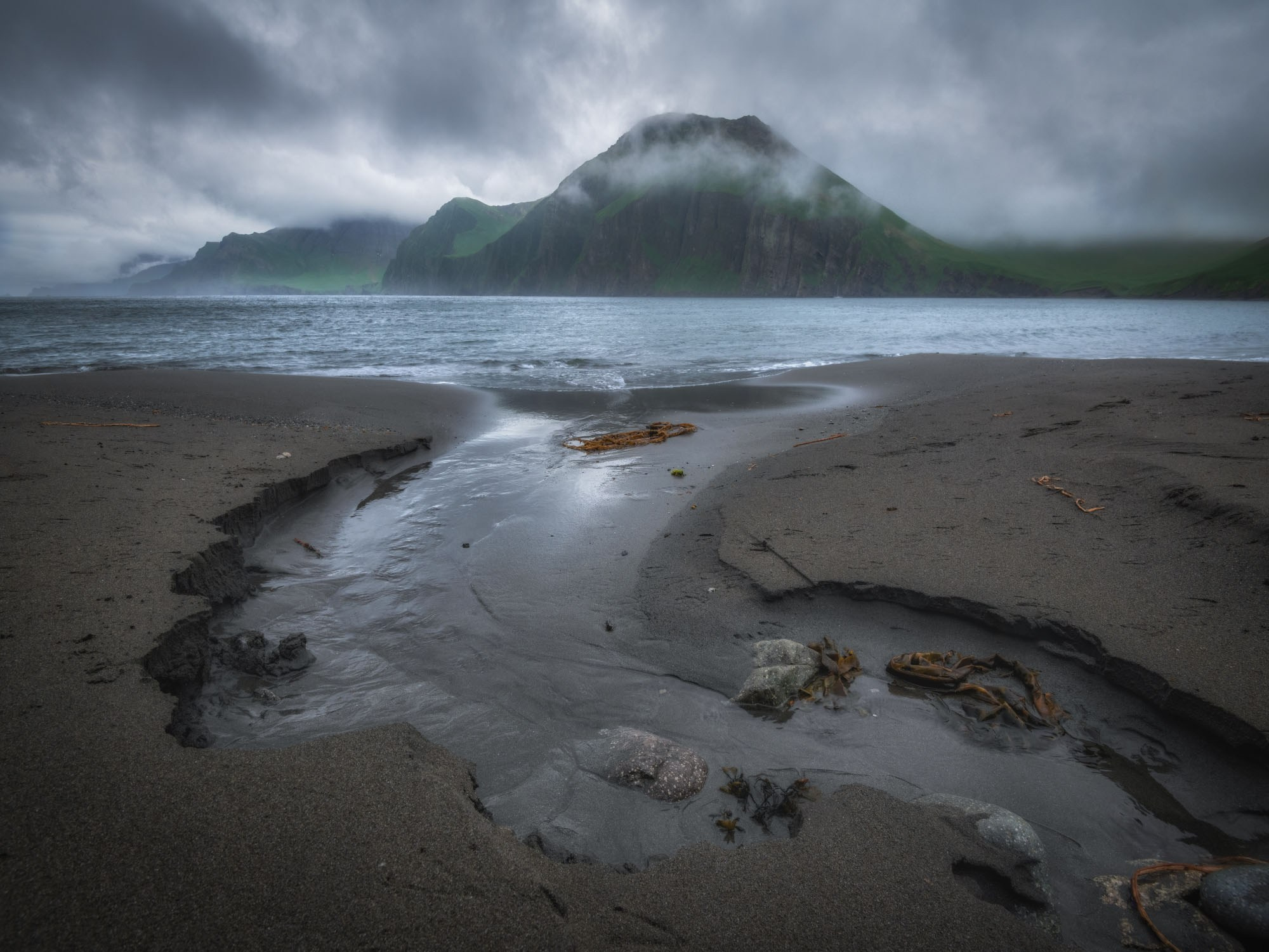 Фотоэкспедиция в Корякию и Командоры 2026