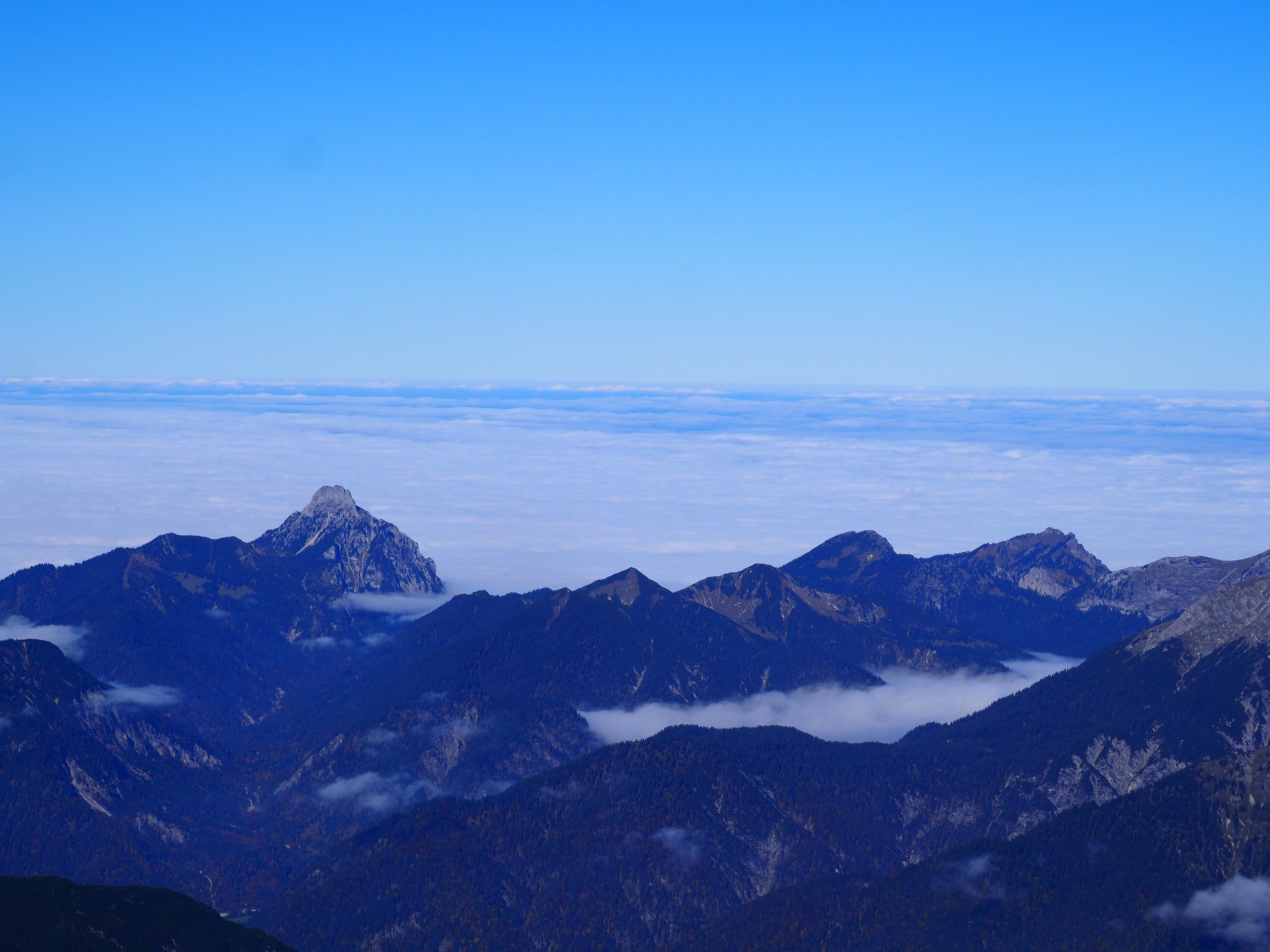 Природа. Семейный фотограф в Красноярске Лизоркина Вера