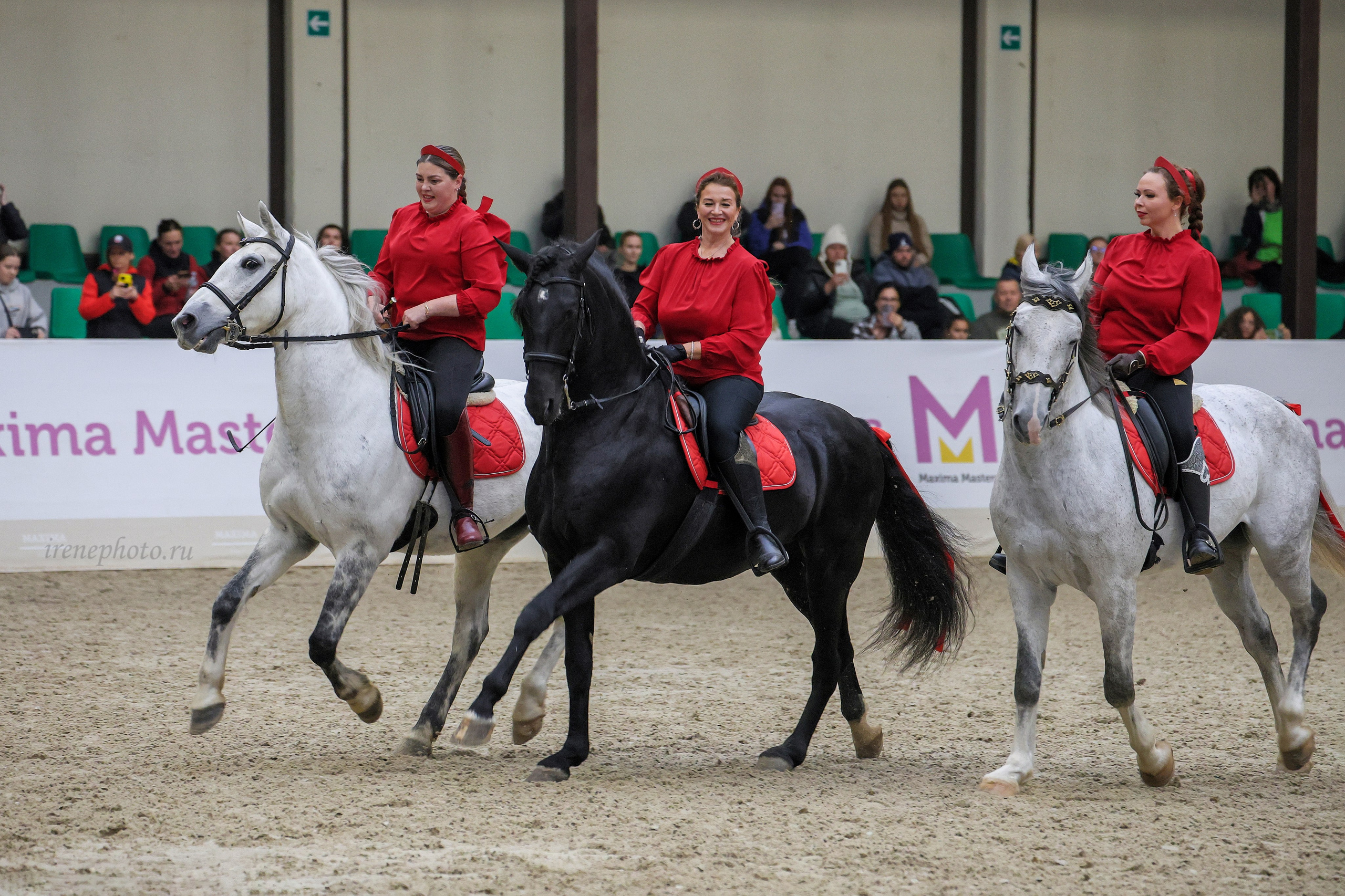 Конная Россия 2024. Irenephoto.ru