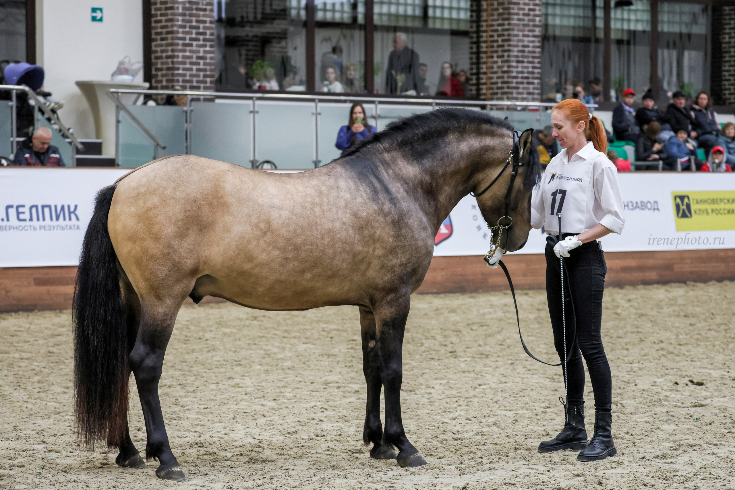 Конная Россия 2024. Irenephoto.ru