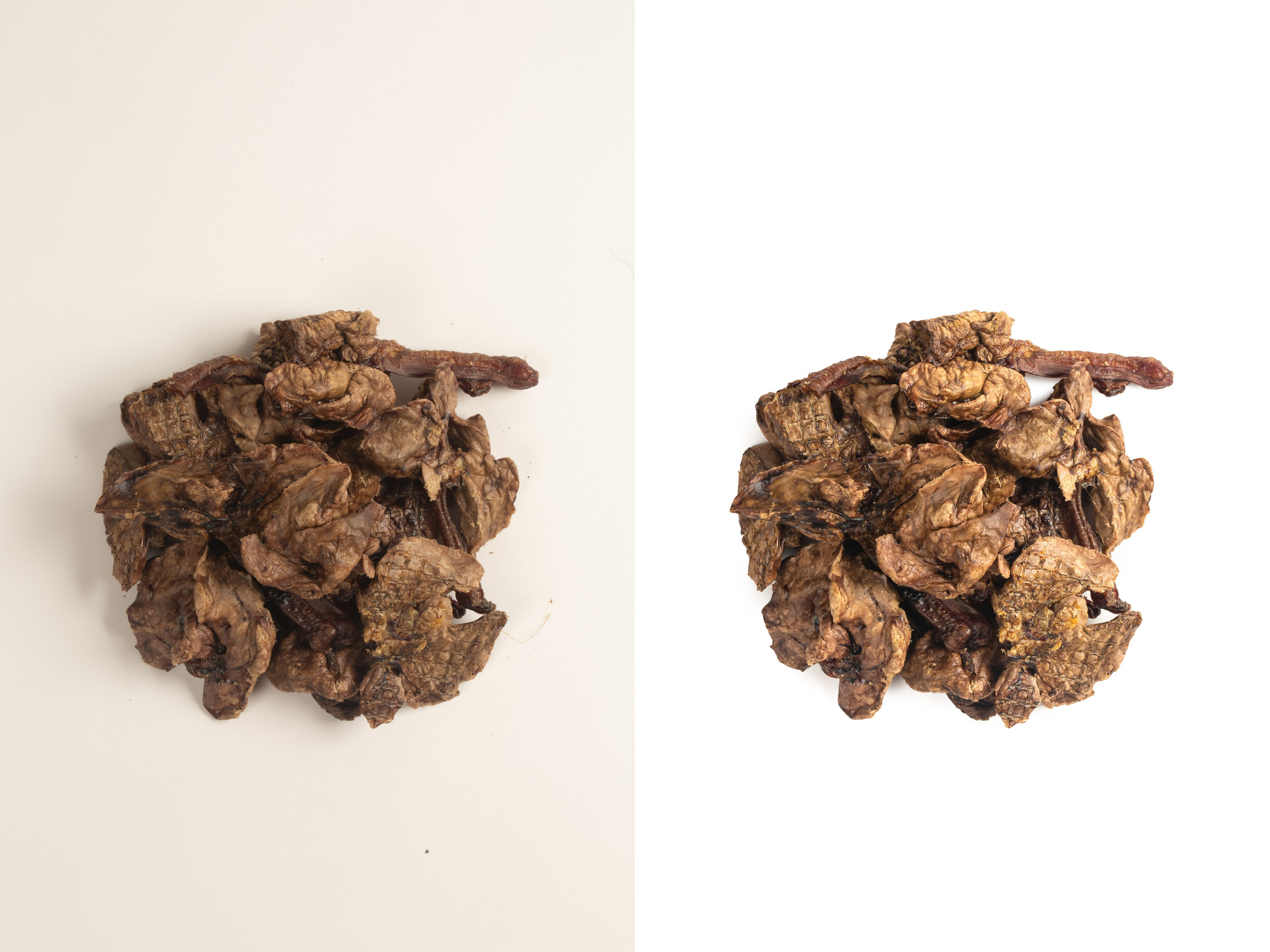 Ретушь фотографий товаров для животных | Студия SVITHART