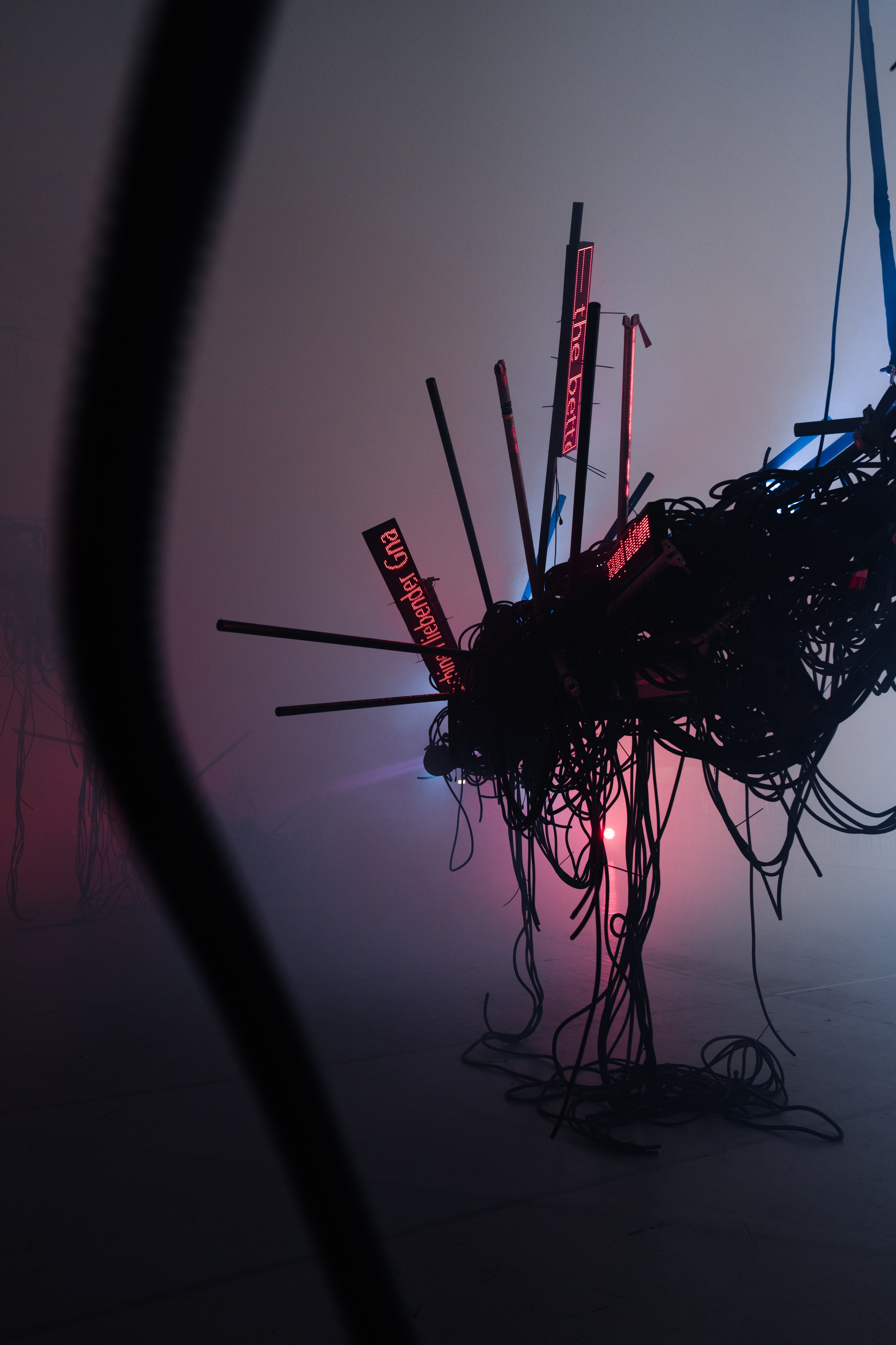 PANTERRA, CHRONOMORPH 001. @tomrus: Рустам Шагиморданов — фотограф