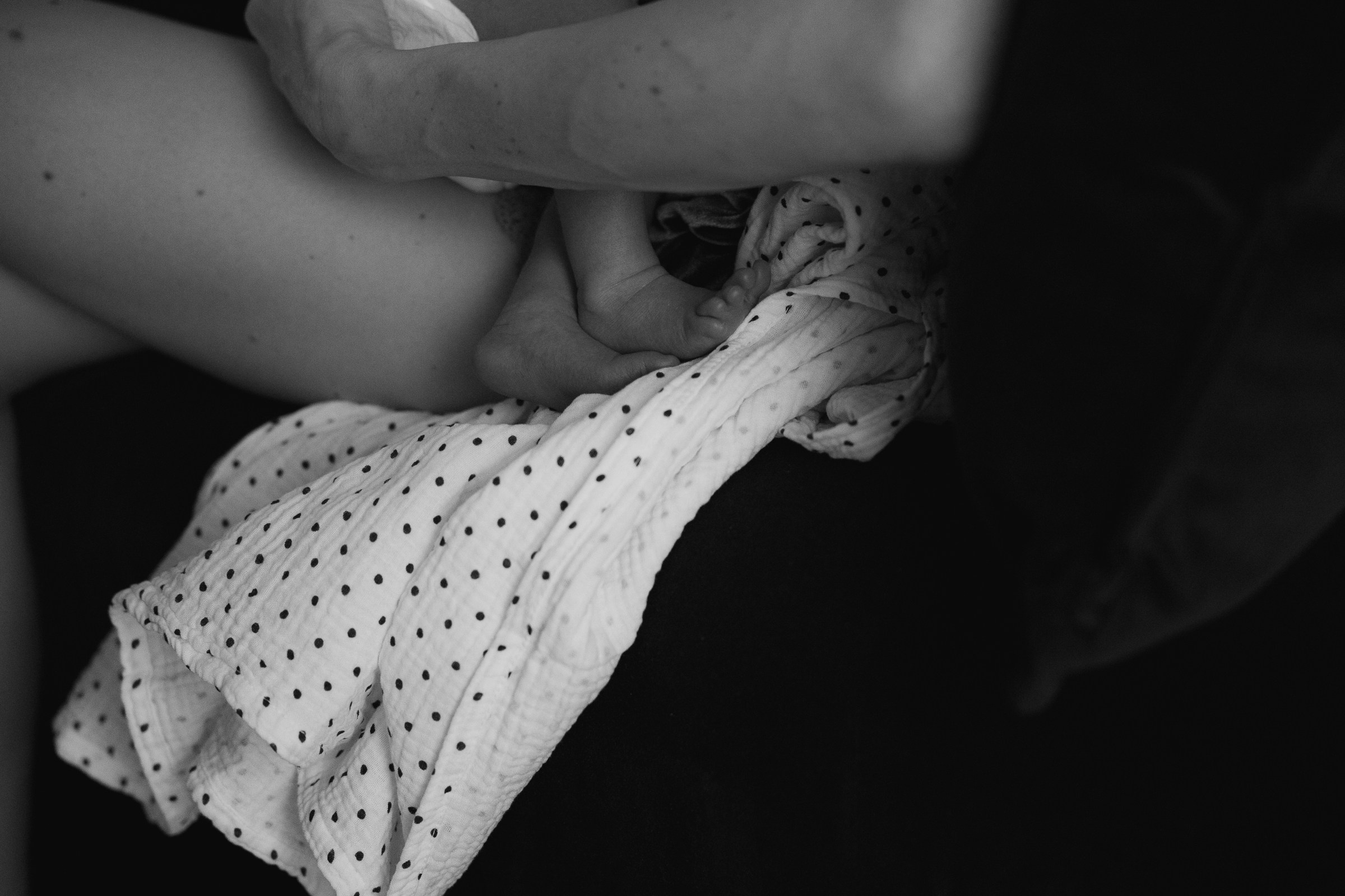 Месяц Александре. Фотограф Москва