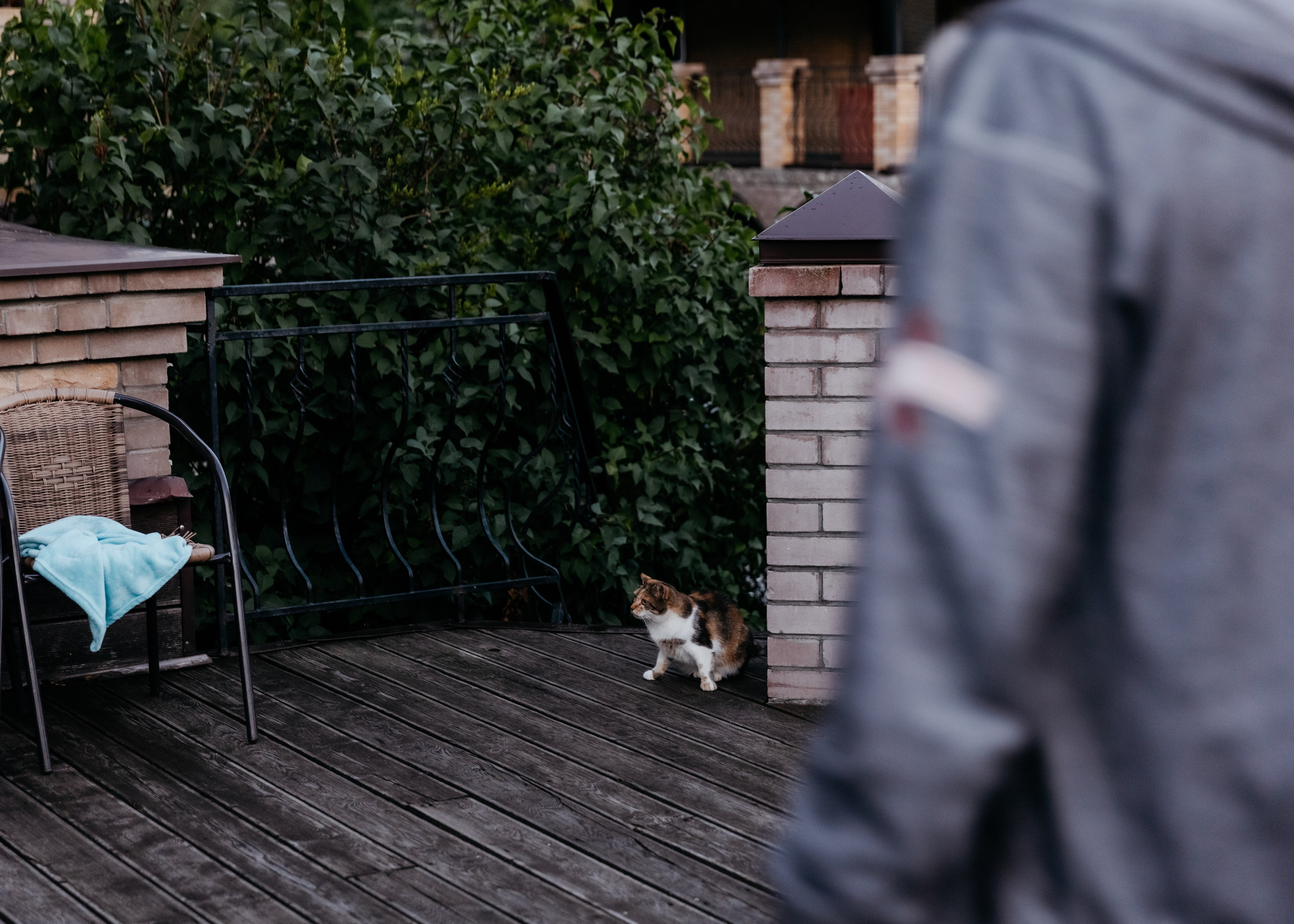 У нас было 2 дня, 2 радуги, 2 времени года и одна любовь. Свадебный фотограф в Санкт-Петербурге