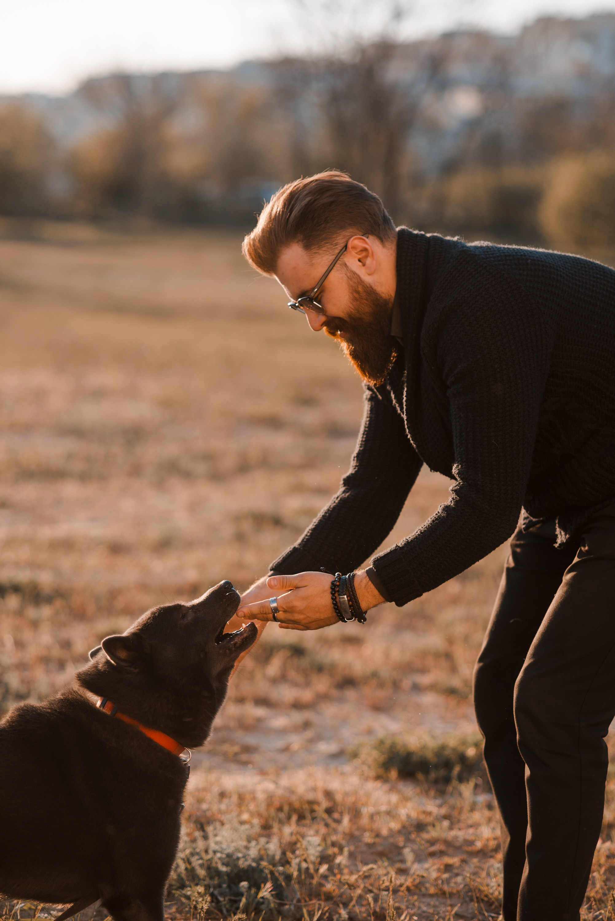 Ярослав. Главная