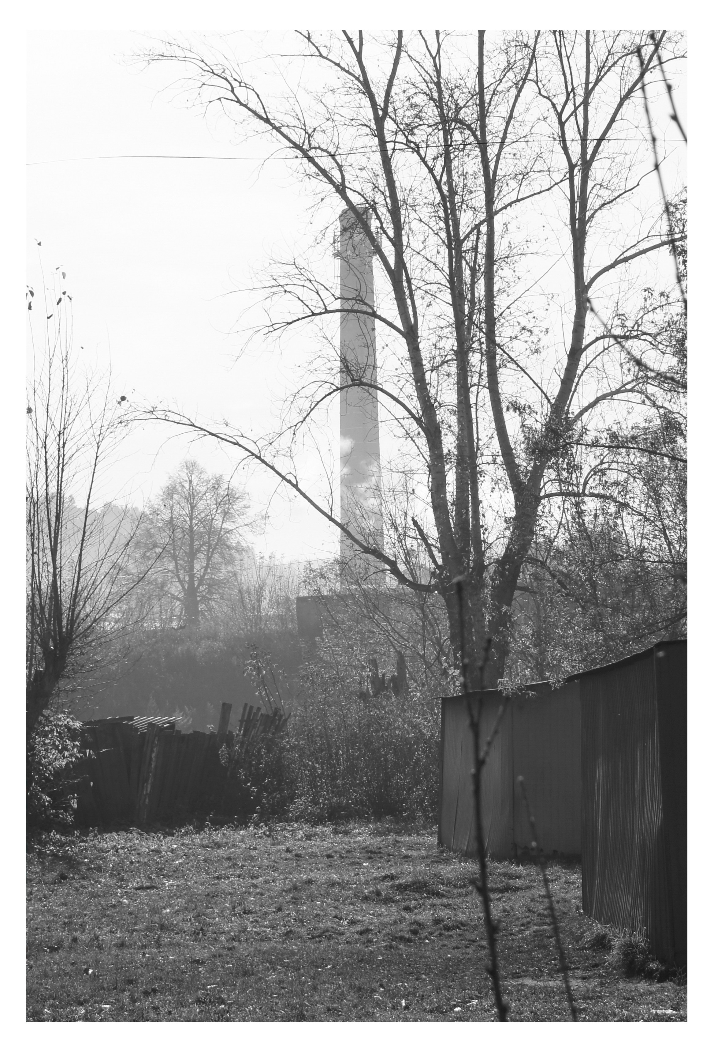 MIASS. Photographer Manakova Olga