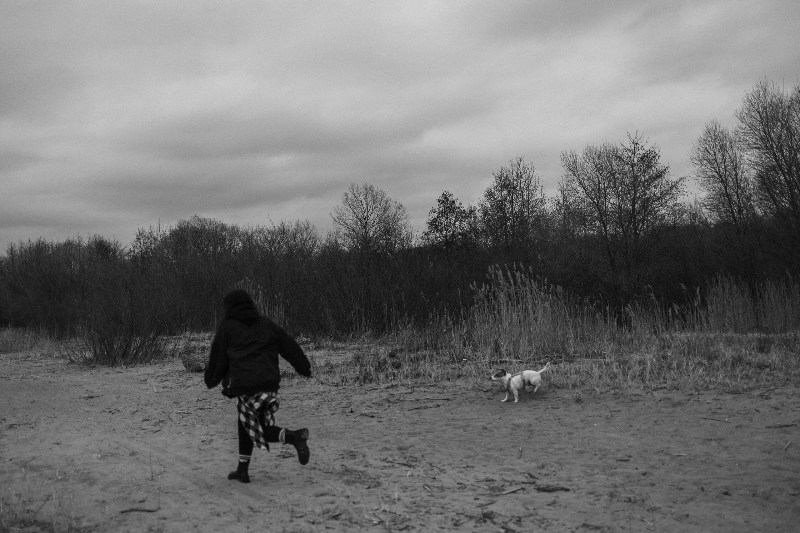 Саша и Джеки. Фотограф — Анималист | Санкт-Петербург