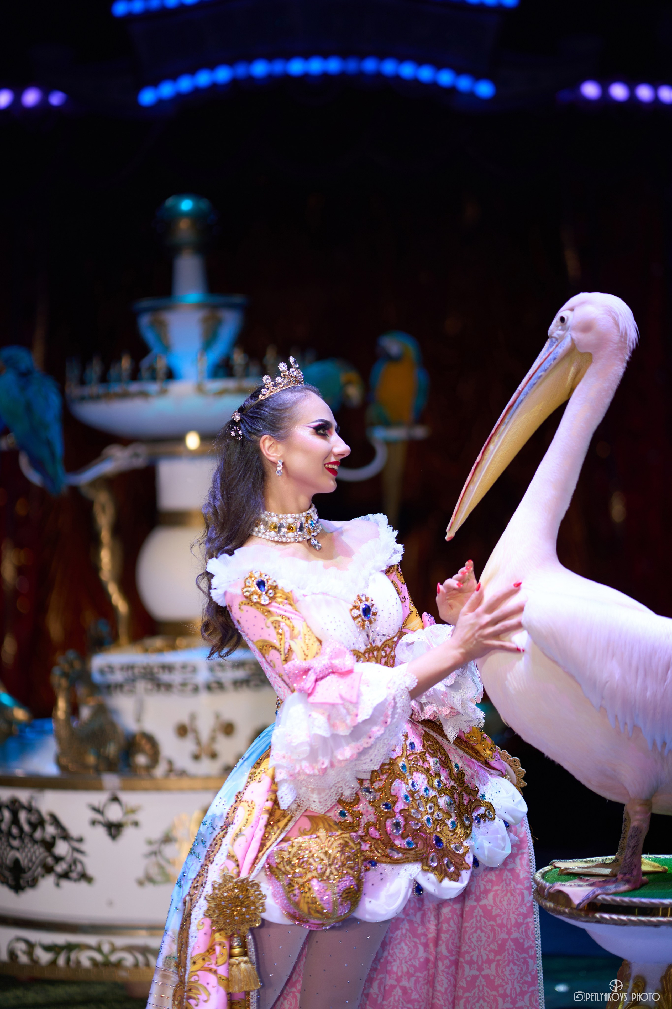 Фотосессия для артистов цирка Дарьи и Владимира Лекаревых. Фотограф, видеограф Пятигорск, Ставрополь, Ессентуки, Petlyakovs_photo