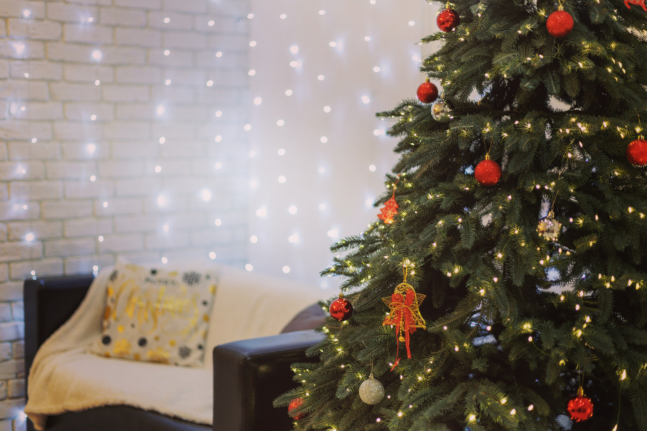 Новогодняя фотосессия. Фотограф Пятигорск Кисловодск КМВ — Олег Олди