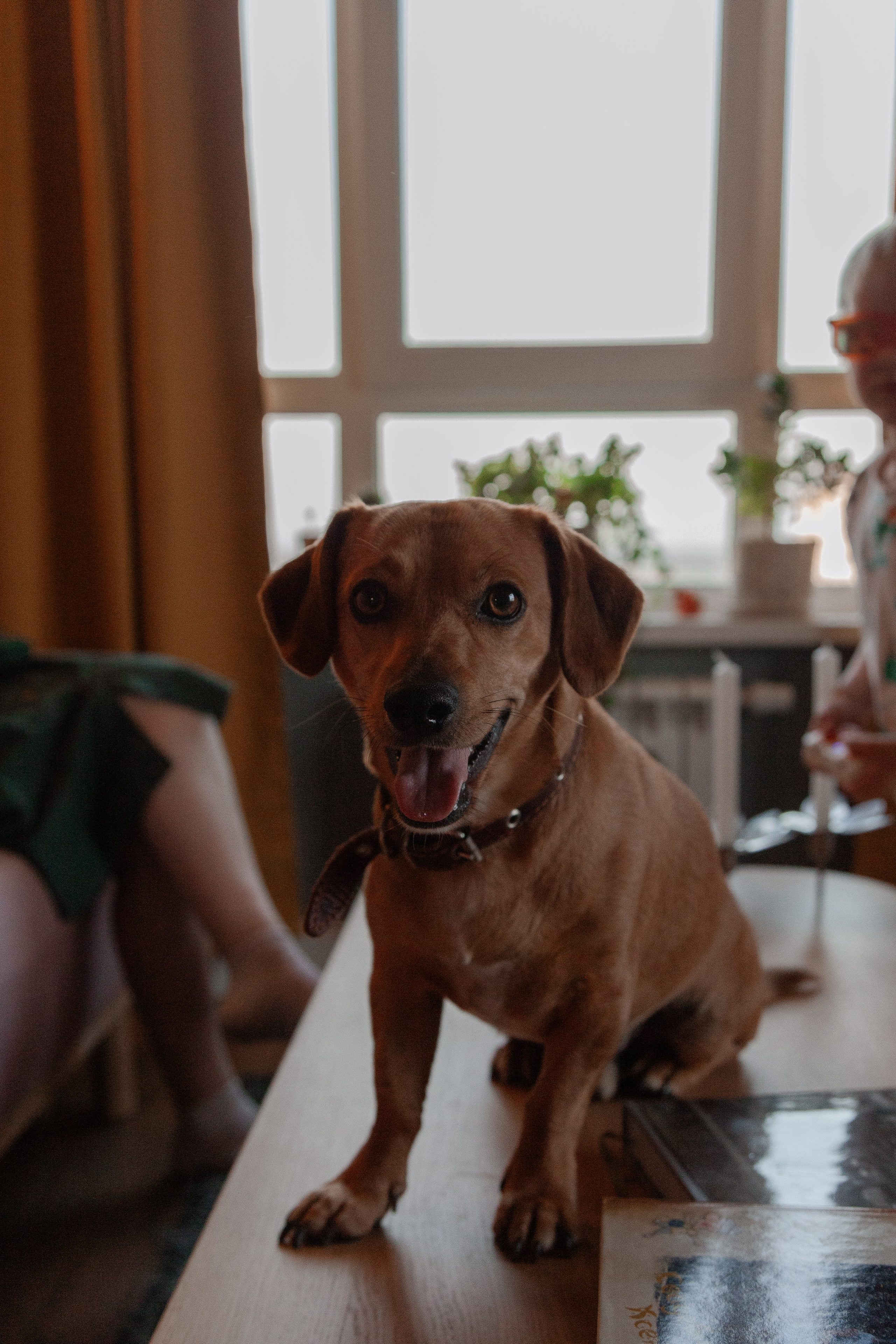 Дом. Орнштейн Полина I Фотограф Самара