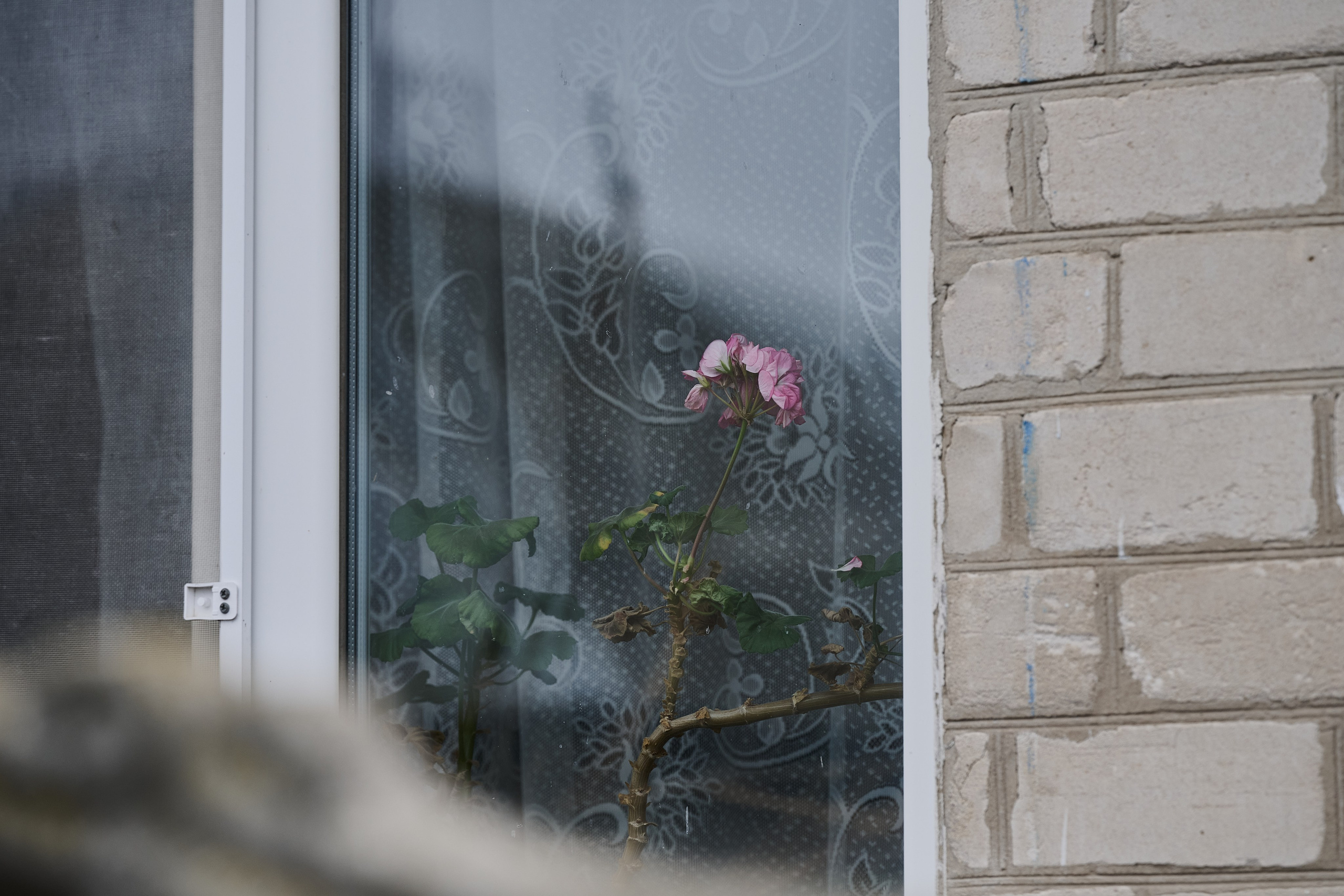 Краснореченское. Луганская область. Фотопроект «Территории»