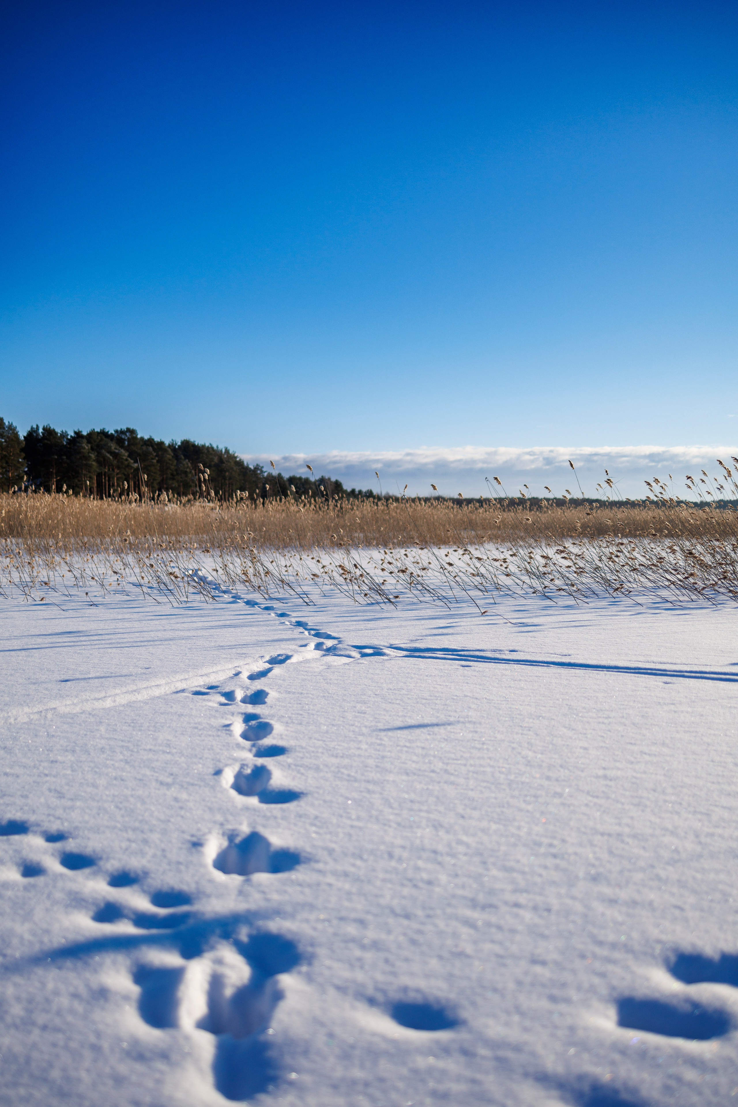 Авторская фотография и эстетика Петербурга | Роман Карбышев. Репортажный фотограф | Снимки за 3 дня | СПБ и ЛО