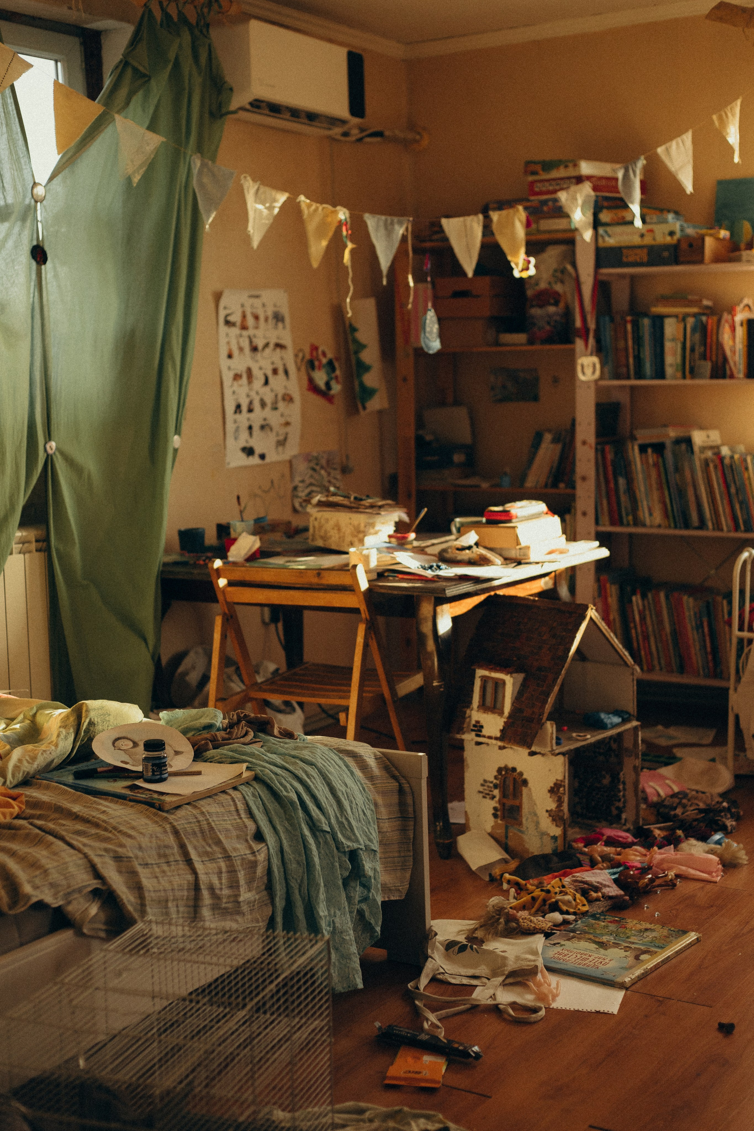 Домашняя история. Meryfotoidea