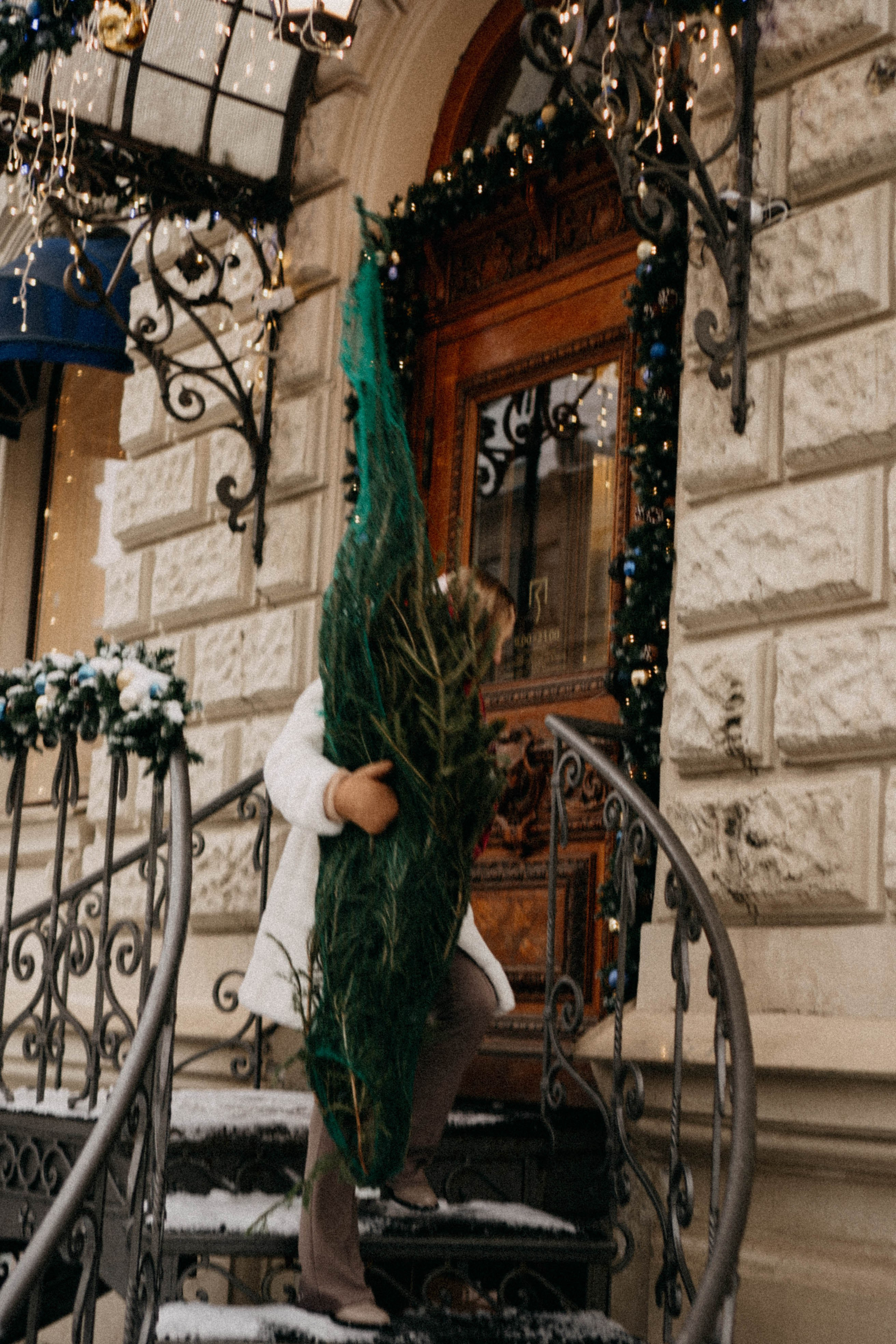 Новогодняя. Профессиональный фотограф, Санкт-Петербург — Виктория Богомолова