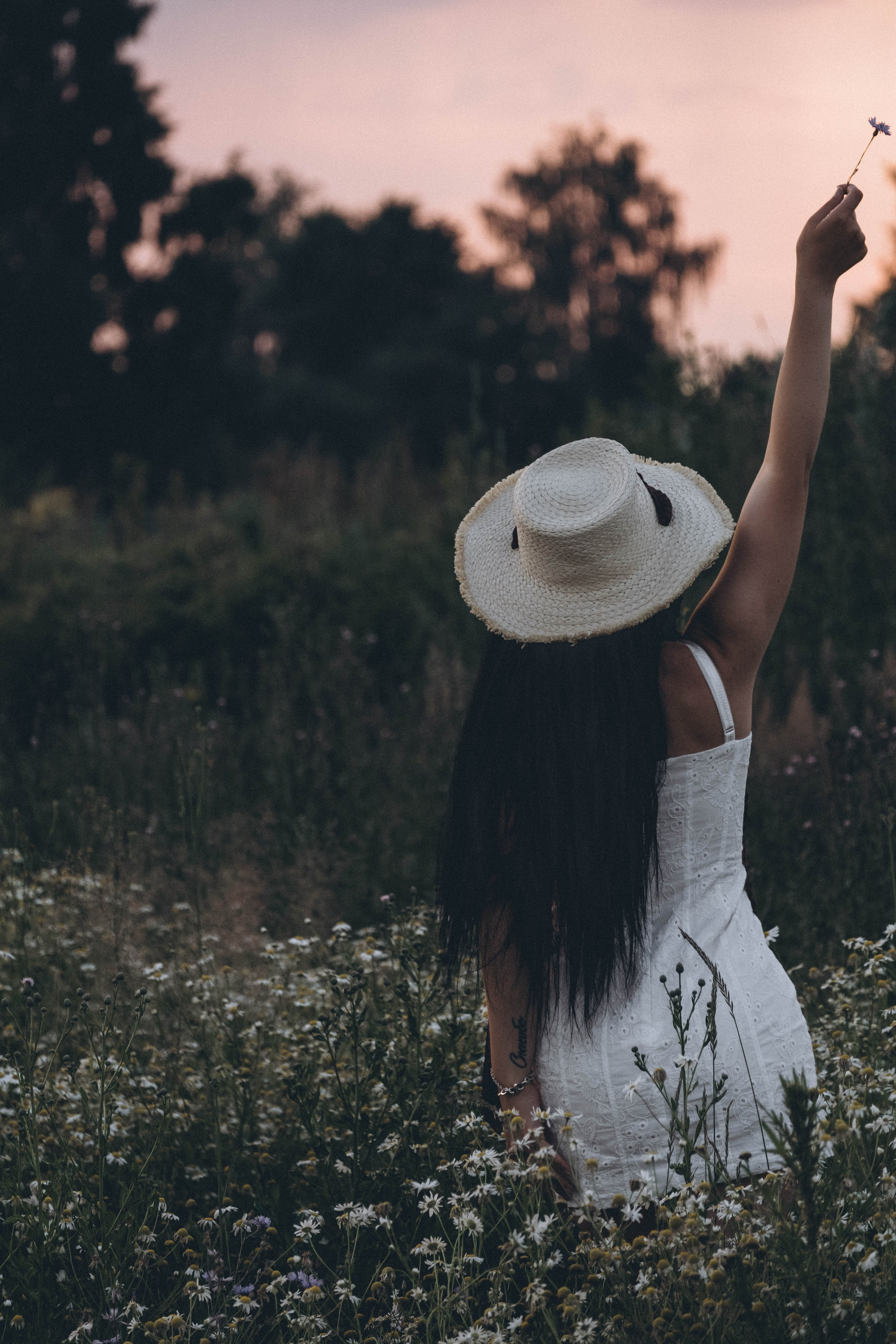 Ромашковое поле. Профессиональный фотограф, Санкт-Петербург — Виктория Богомолова
