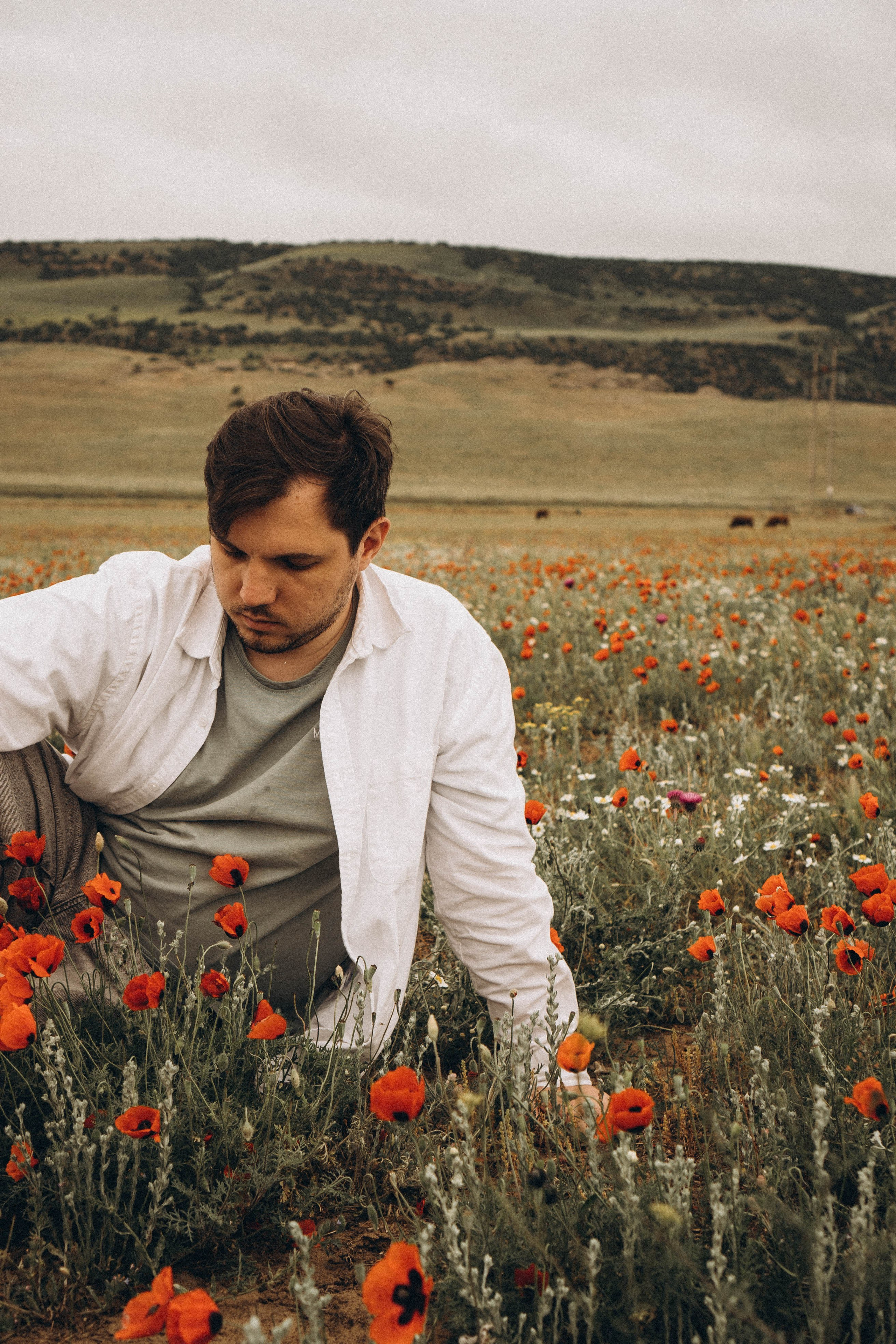 Маки. Профессиональный фотограф, Санкт-Петербург — Виктория Богомолова