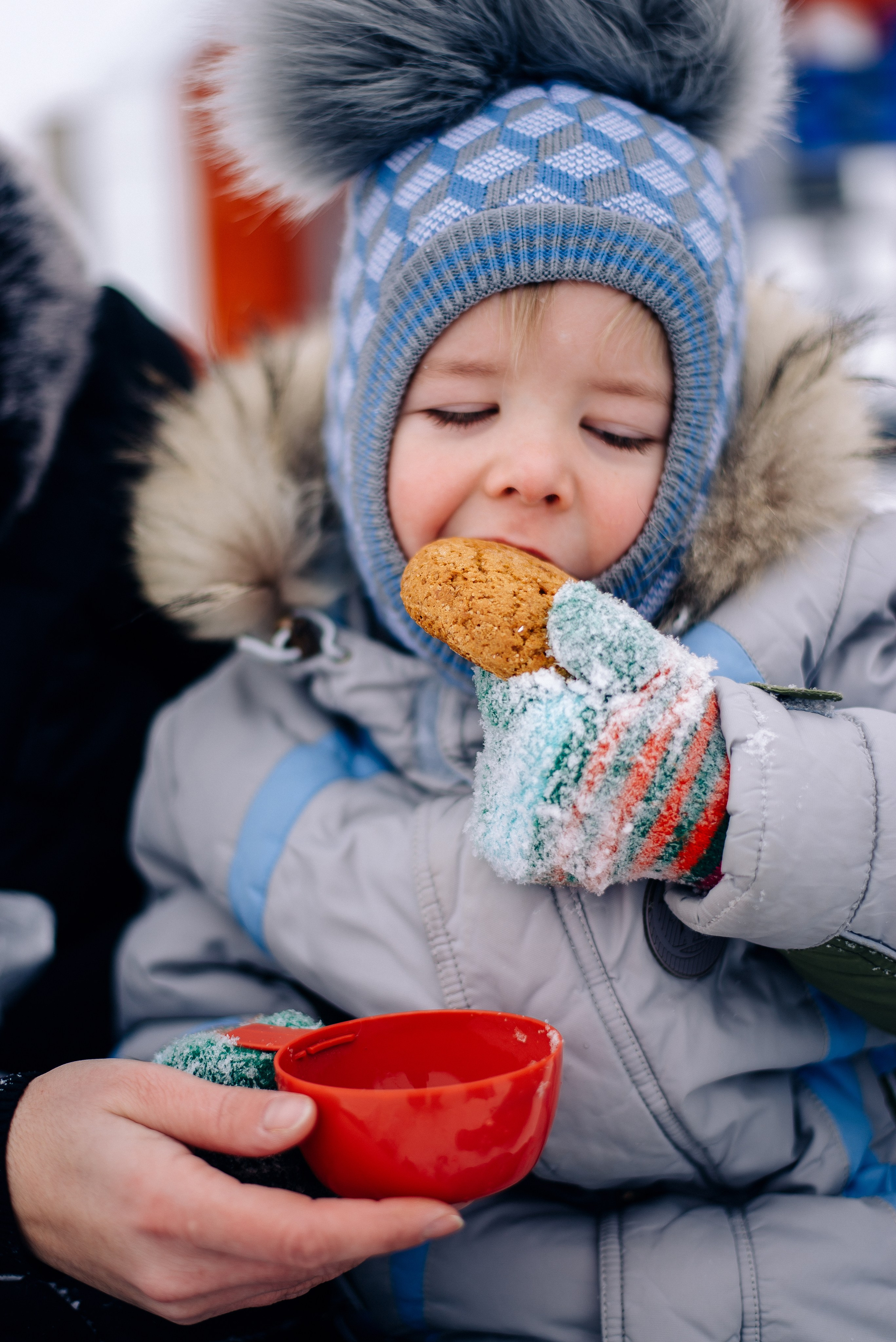 Коньки. Фотограф — МАРИЯ МЕДВЕДЕВА