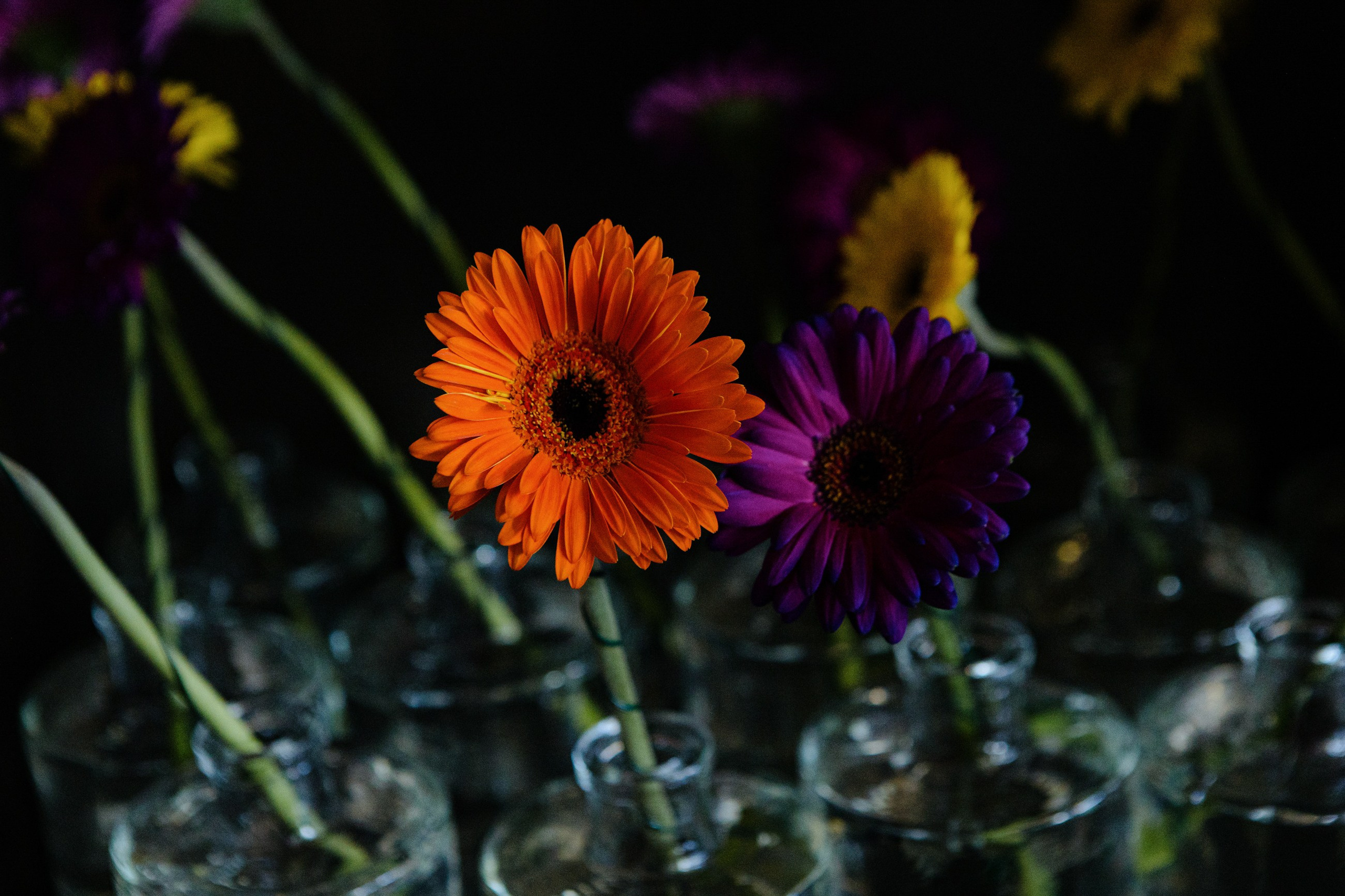 Александр и Ольга. LEVORIGINAL