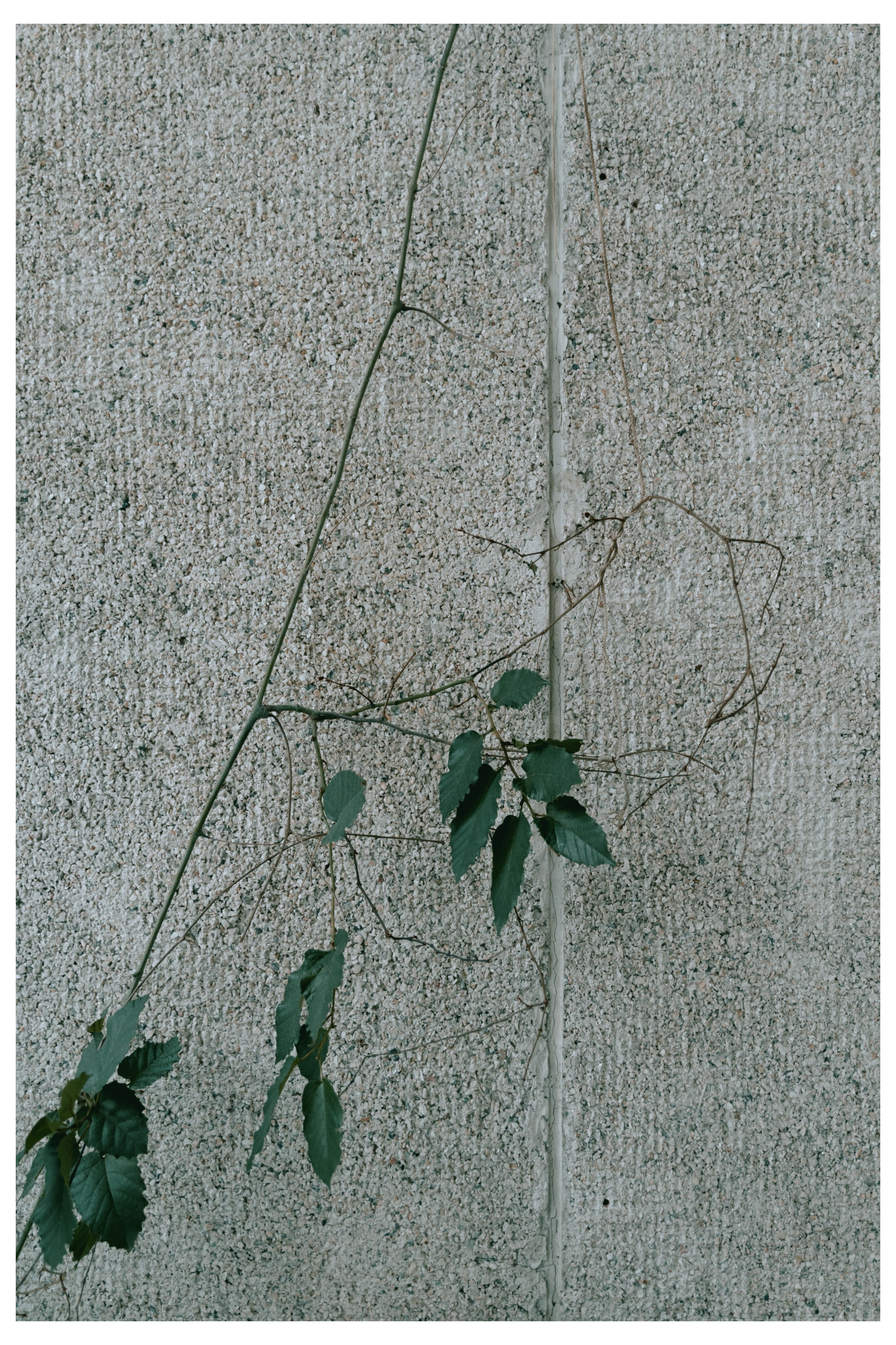 Яна. Фотограф в Нижнем Новгороде Алексей Уковский