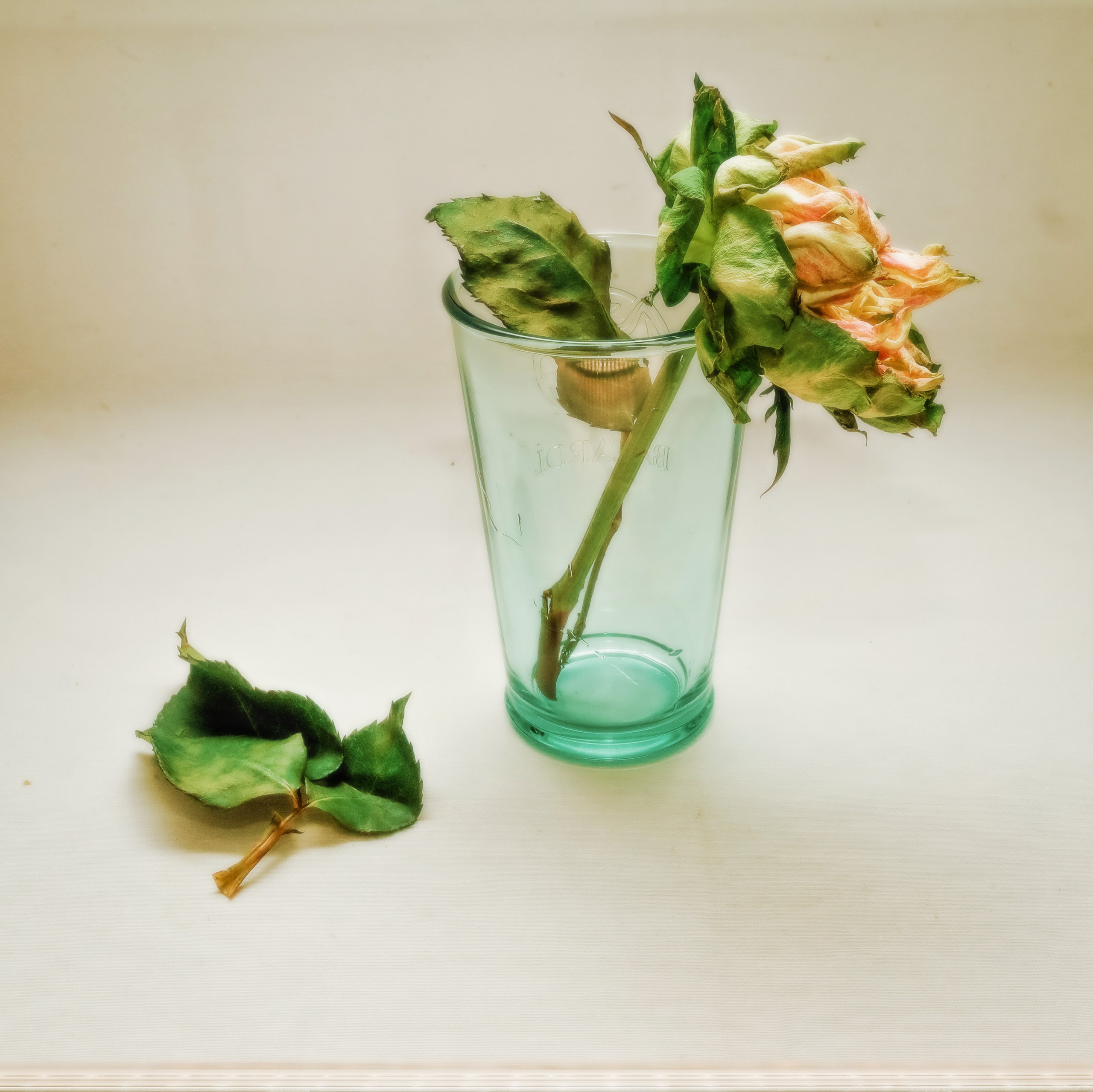 Пространства &. Фотохудожник в СПб