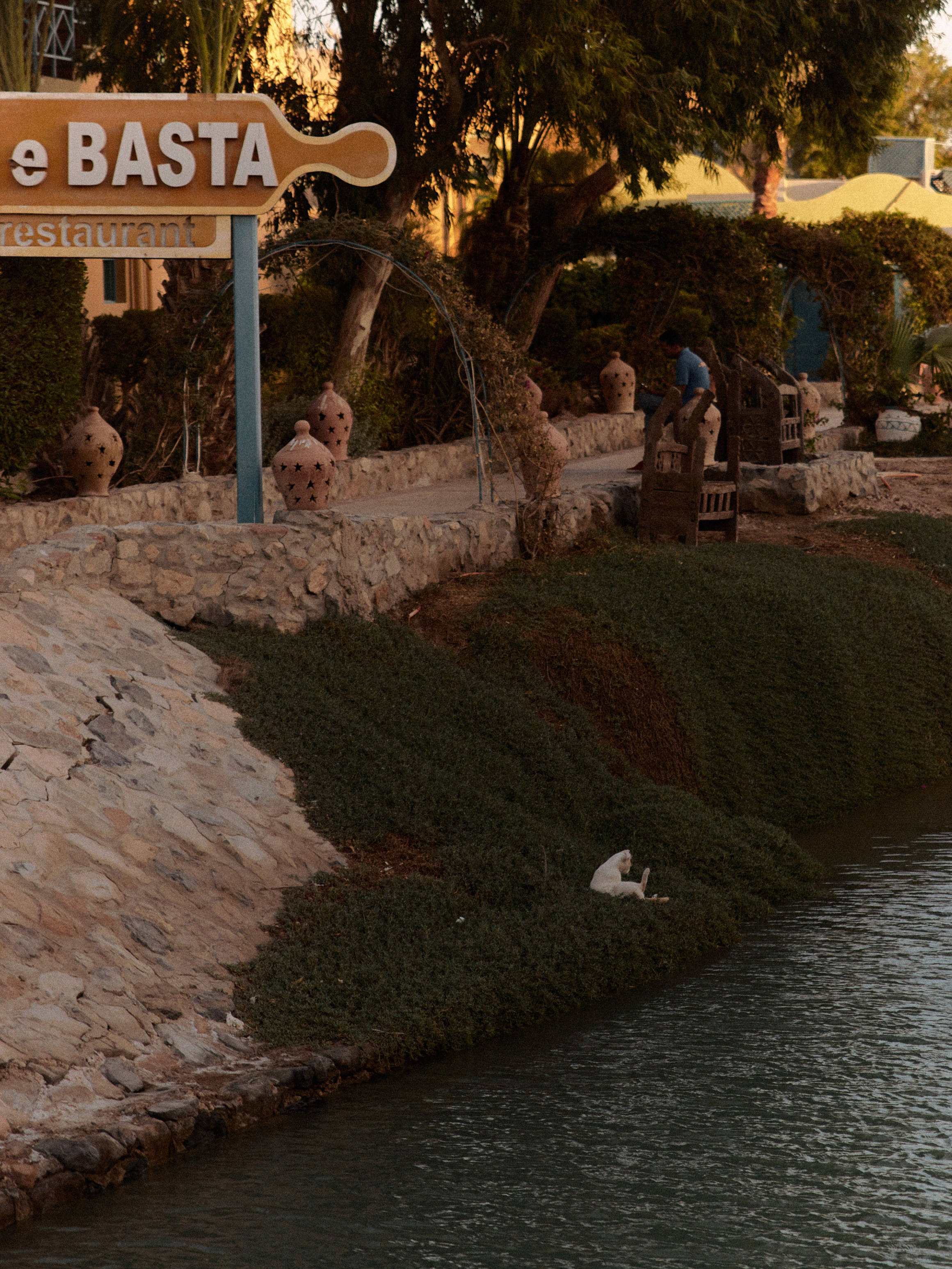 Природа сквозь. Jorgis Talè — photographer, kind person, teacher of arts and other mag