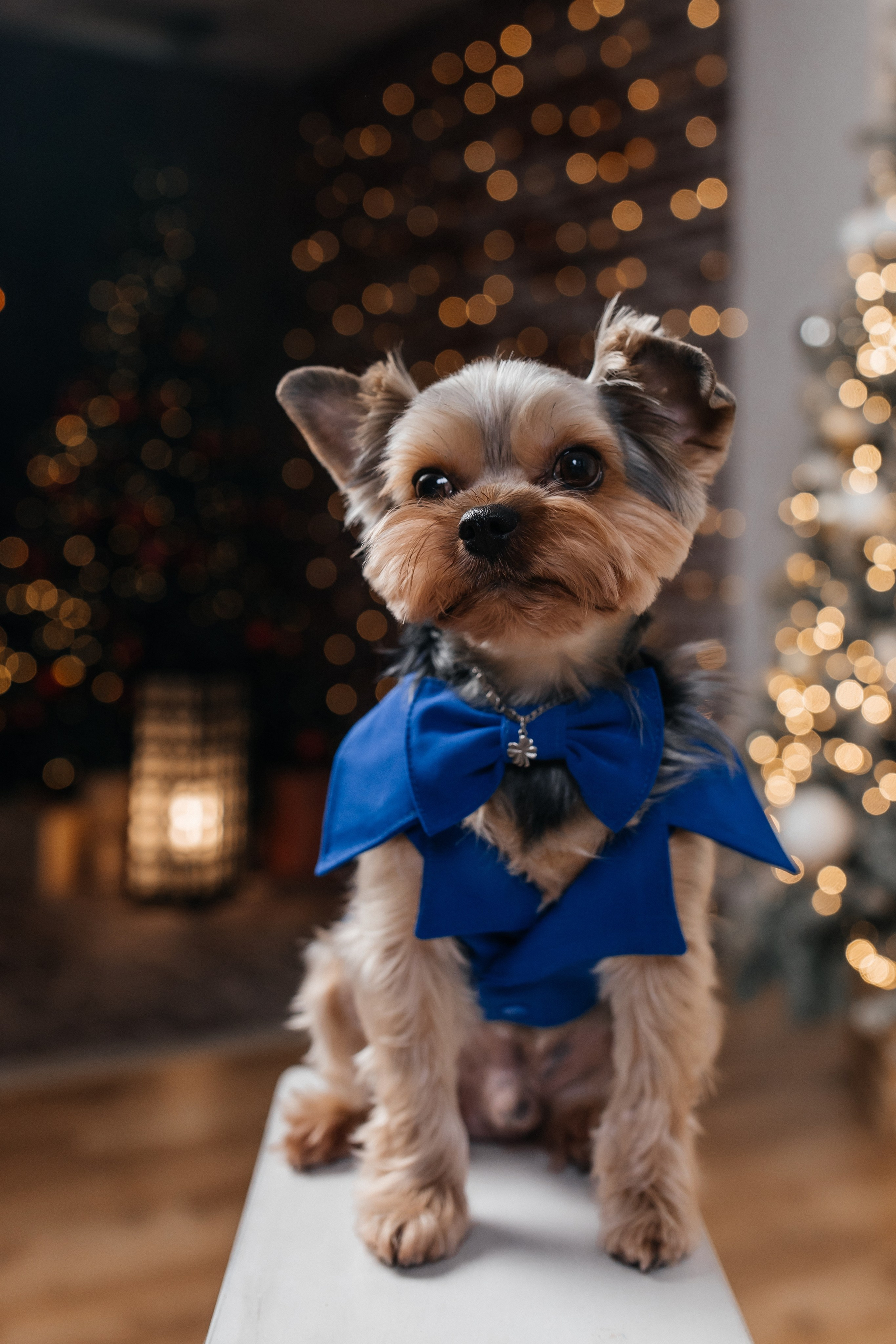 Юлия с Семьей. Свадебный и Семейный фотограф г. Ижевск Гульназ Солдатова. Гульназ фото