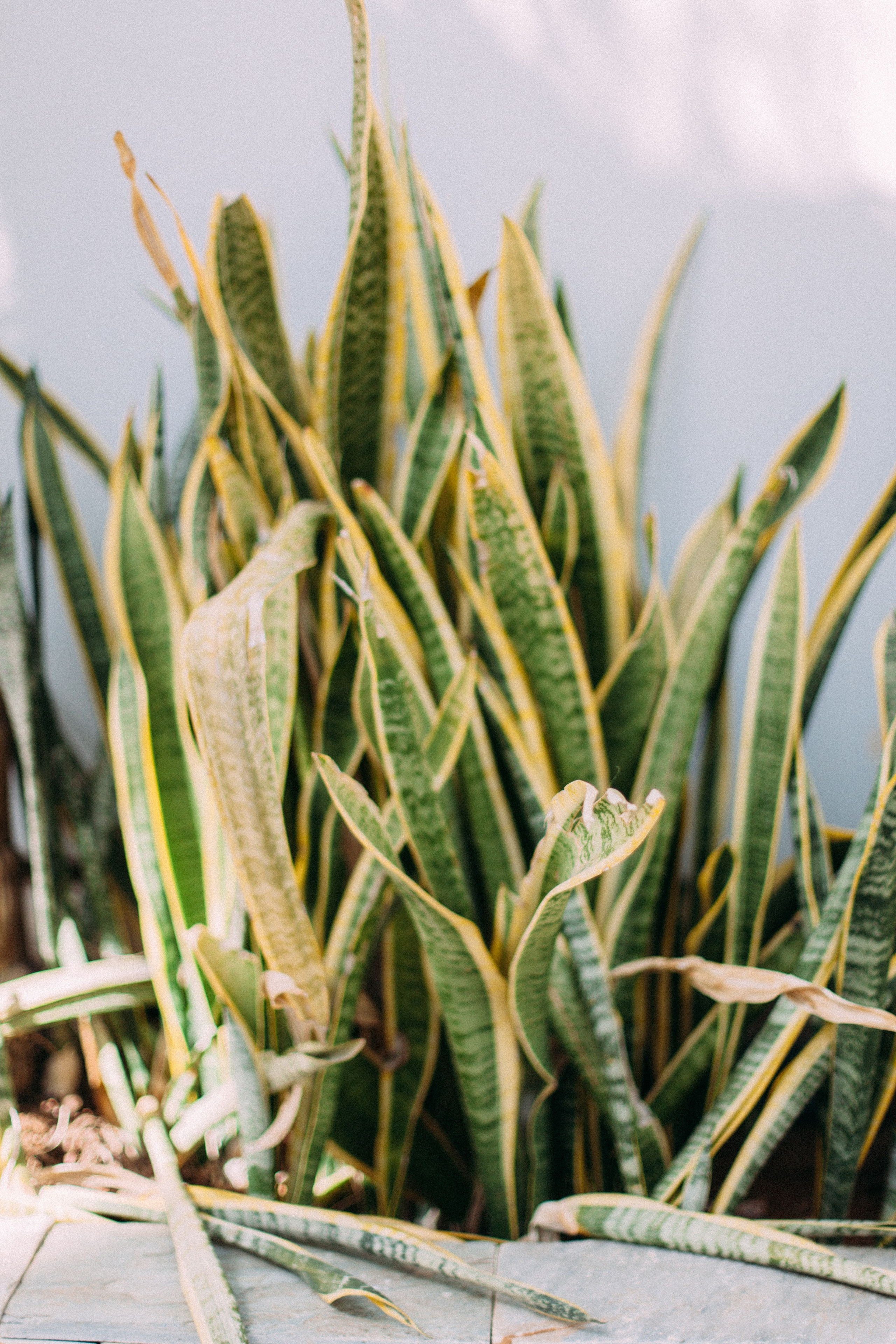 Кипр. Аня Степанова