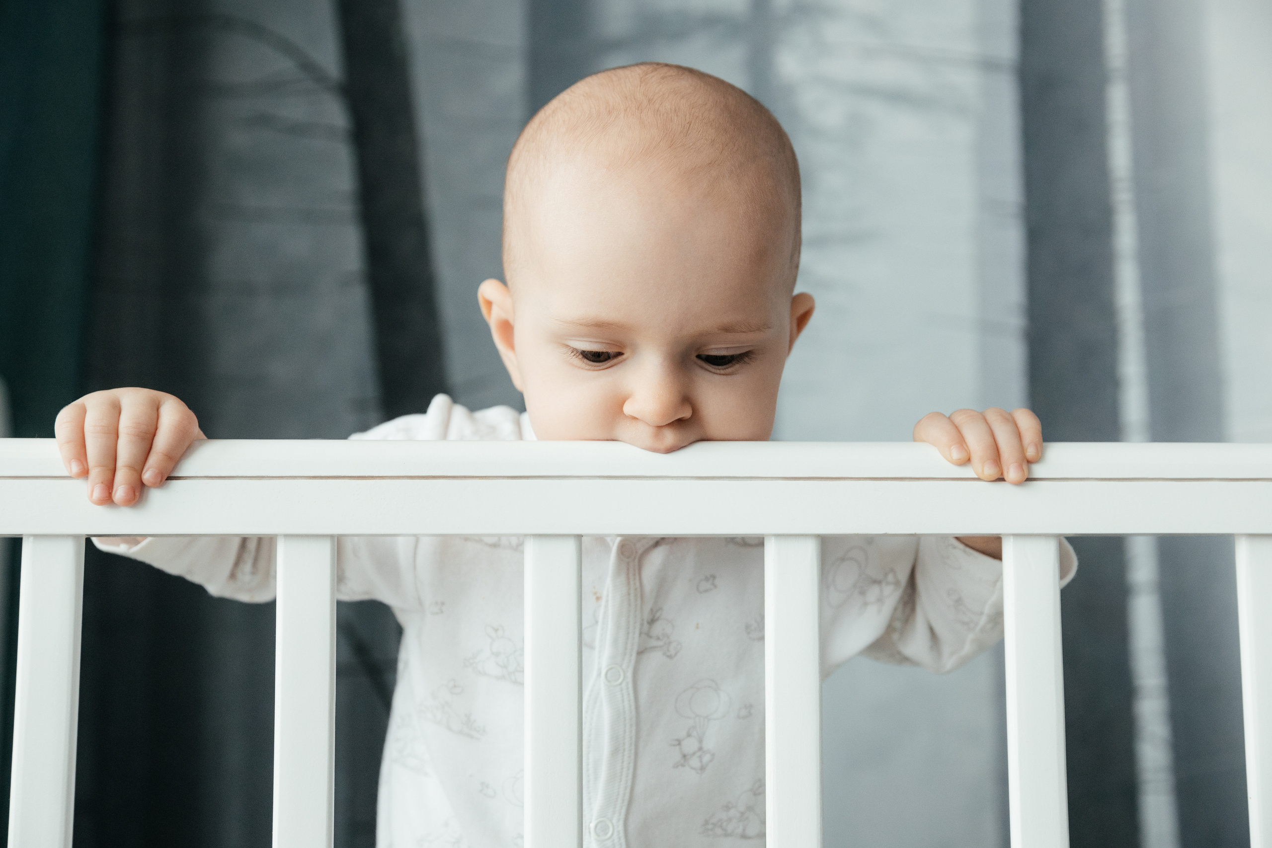 Алена, Витя, Оливия и Ластик. Фотограф Луиза Юдилевич Москва